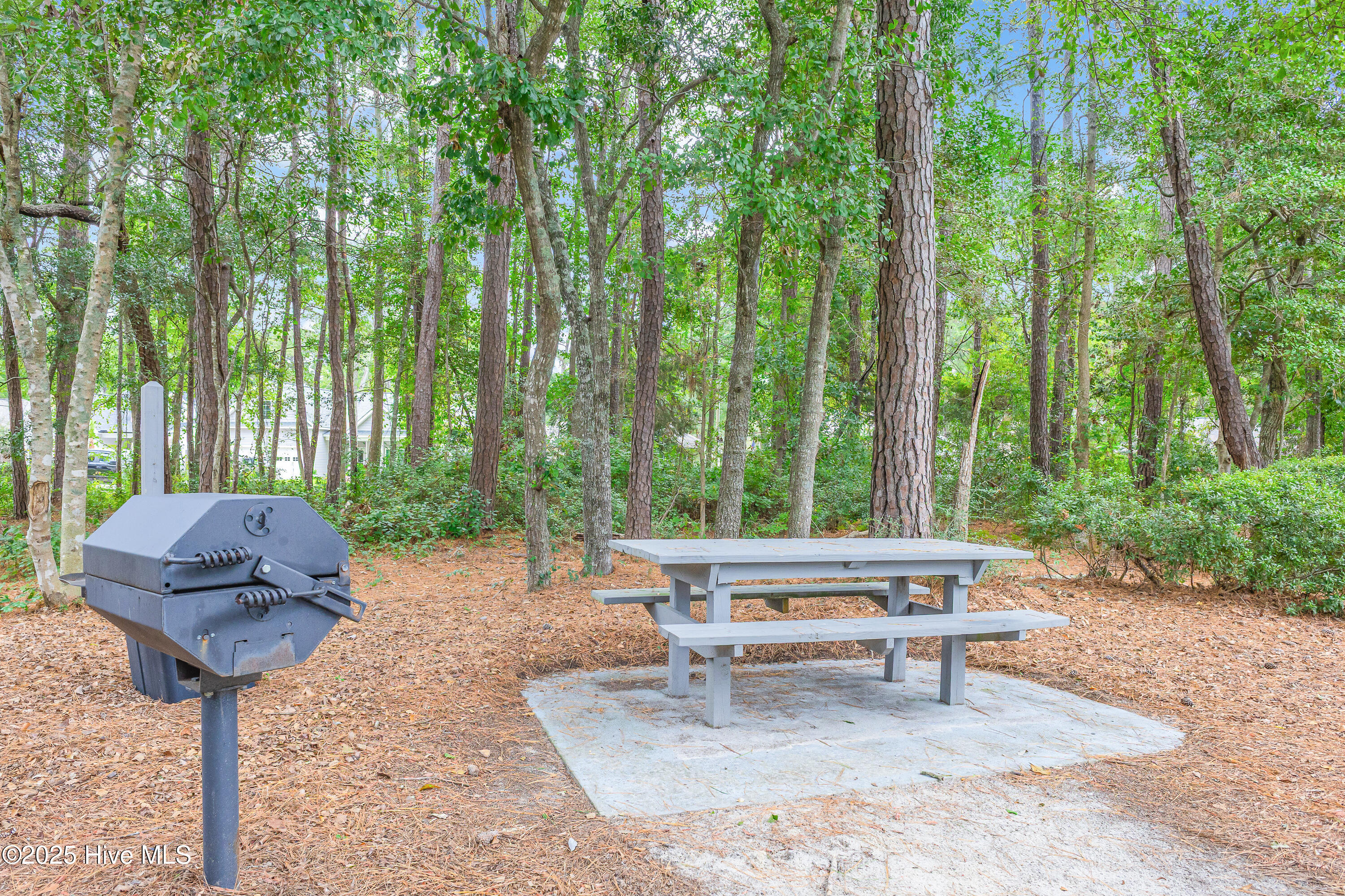 100538941 | Photo 31