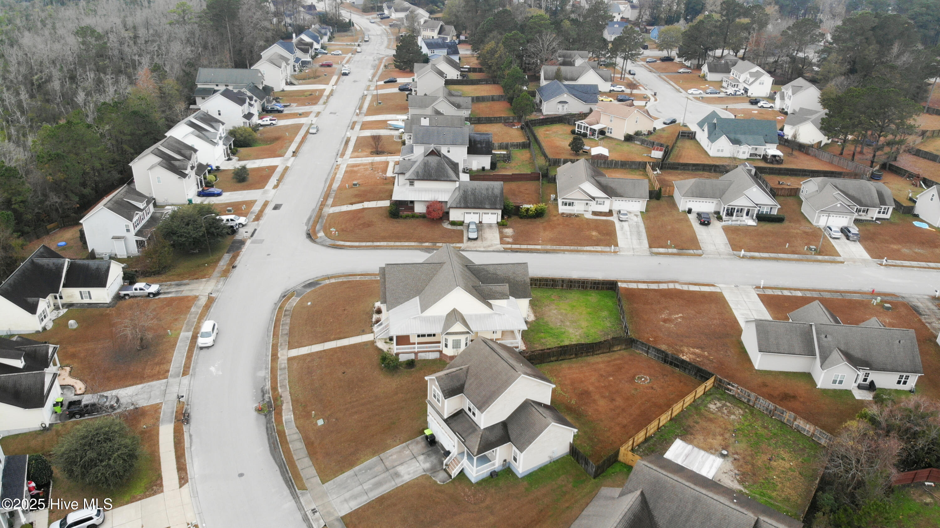 100539008 | Photo 63