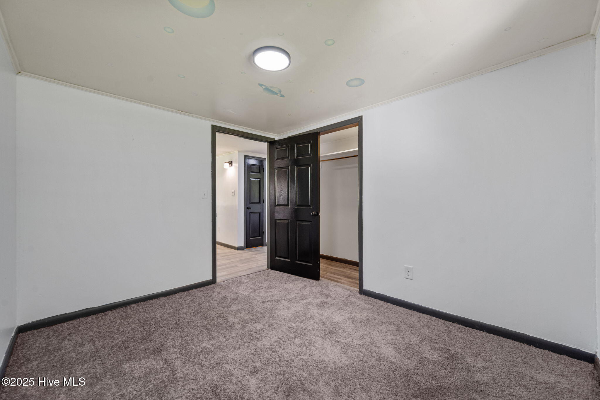 100534081 | Photo 30