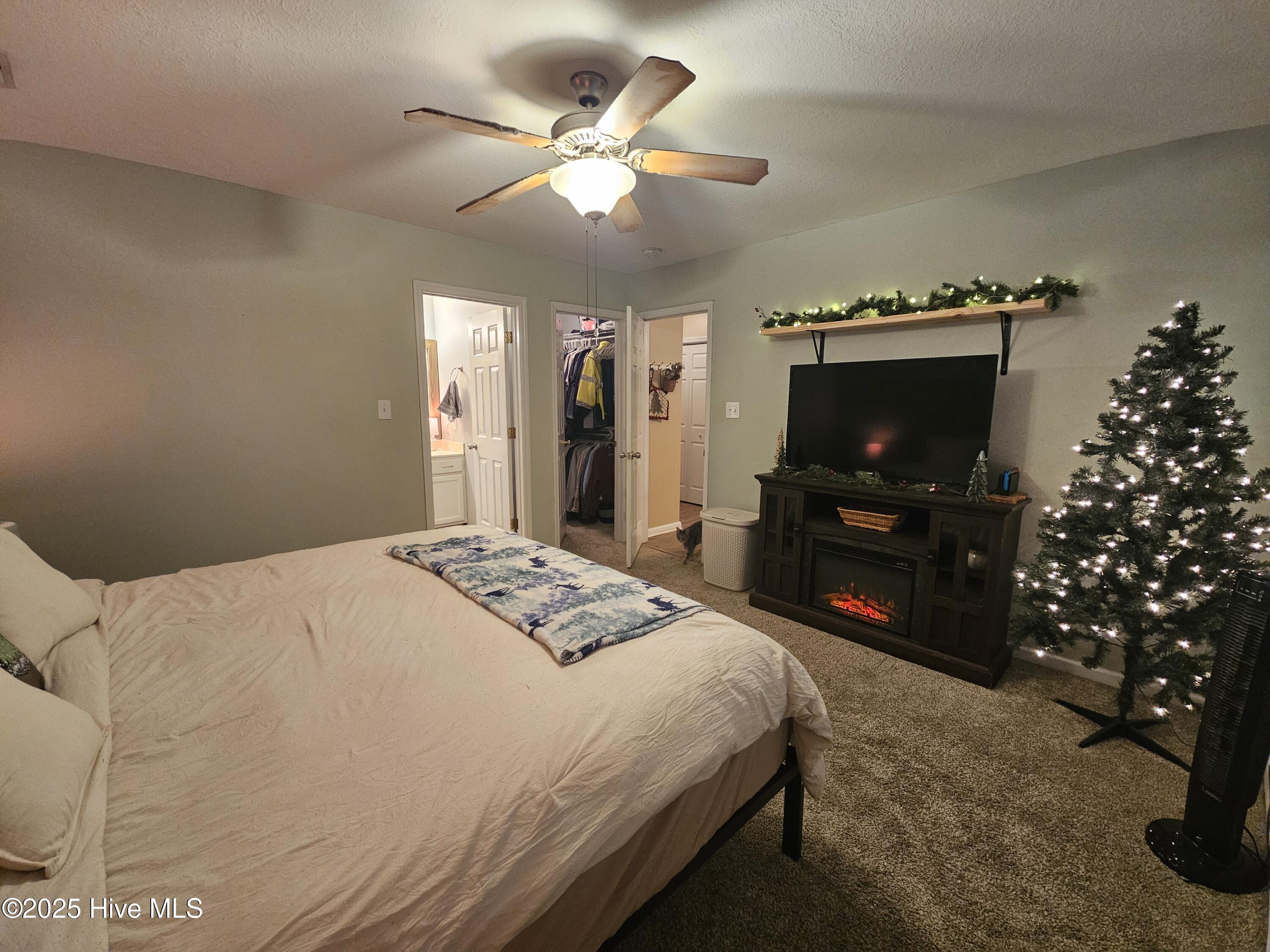 100544816 | Photo 11