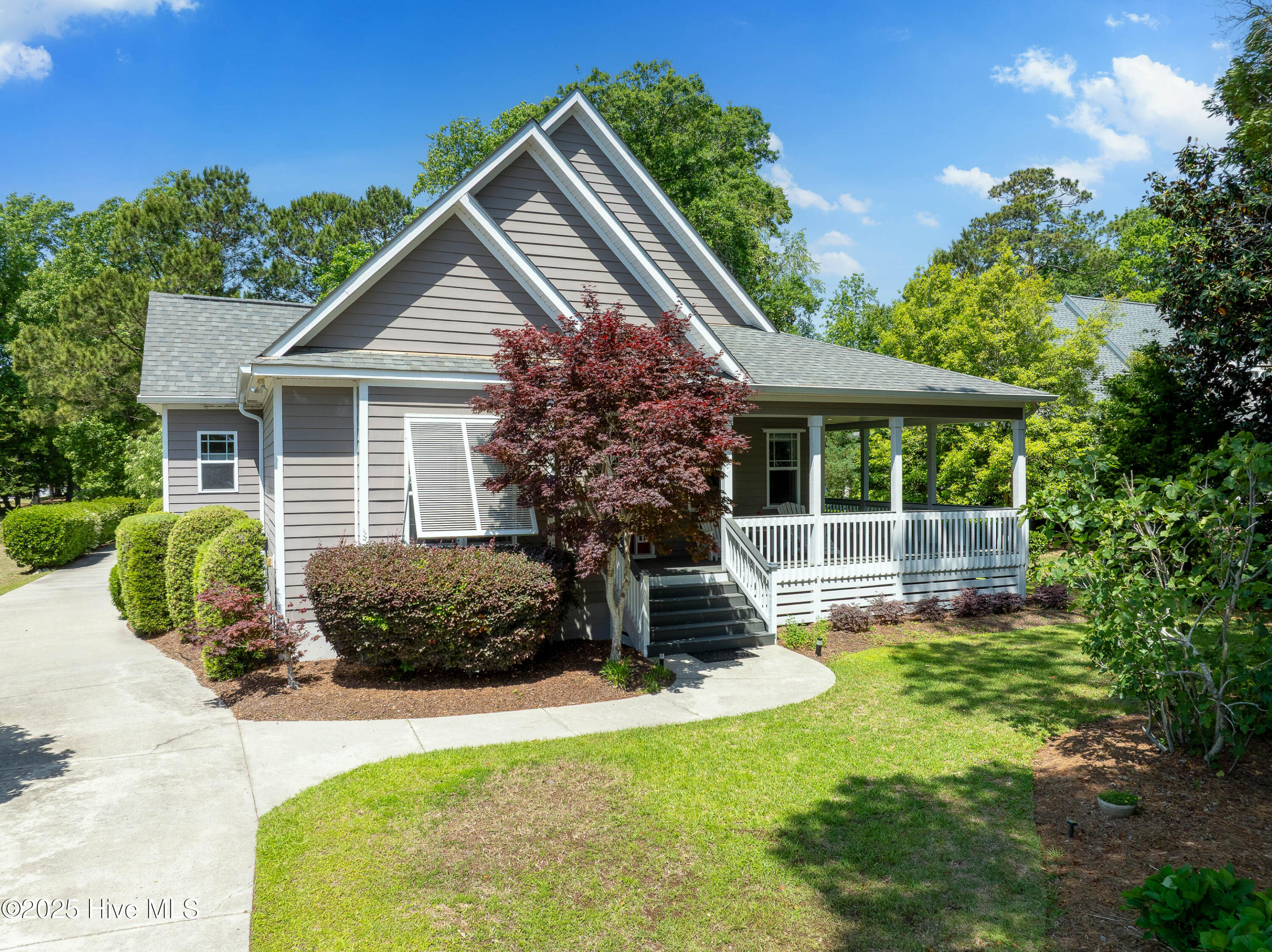 100505939 | Photo 59