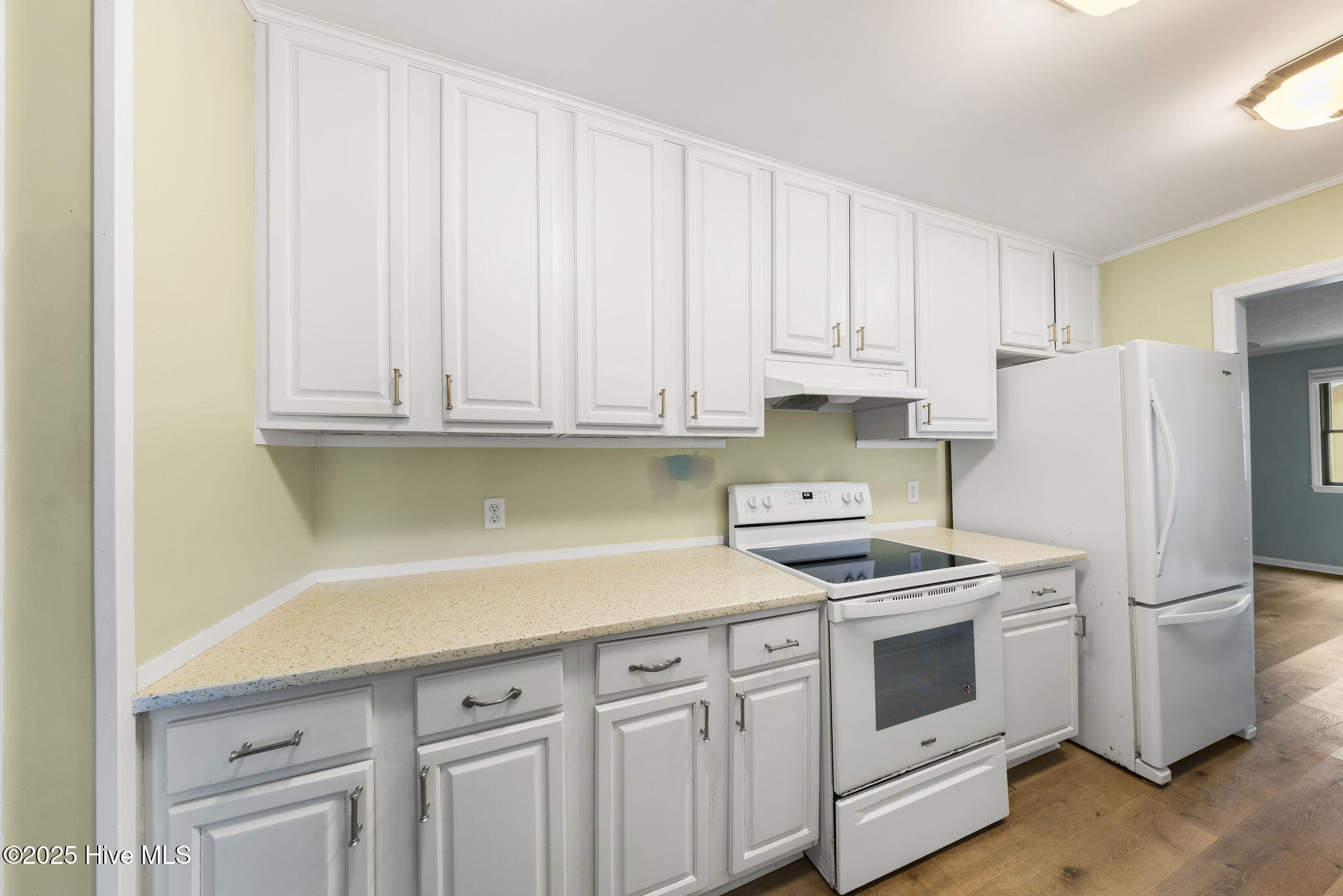 100546976 | Photo 11