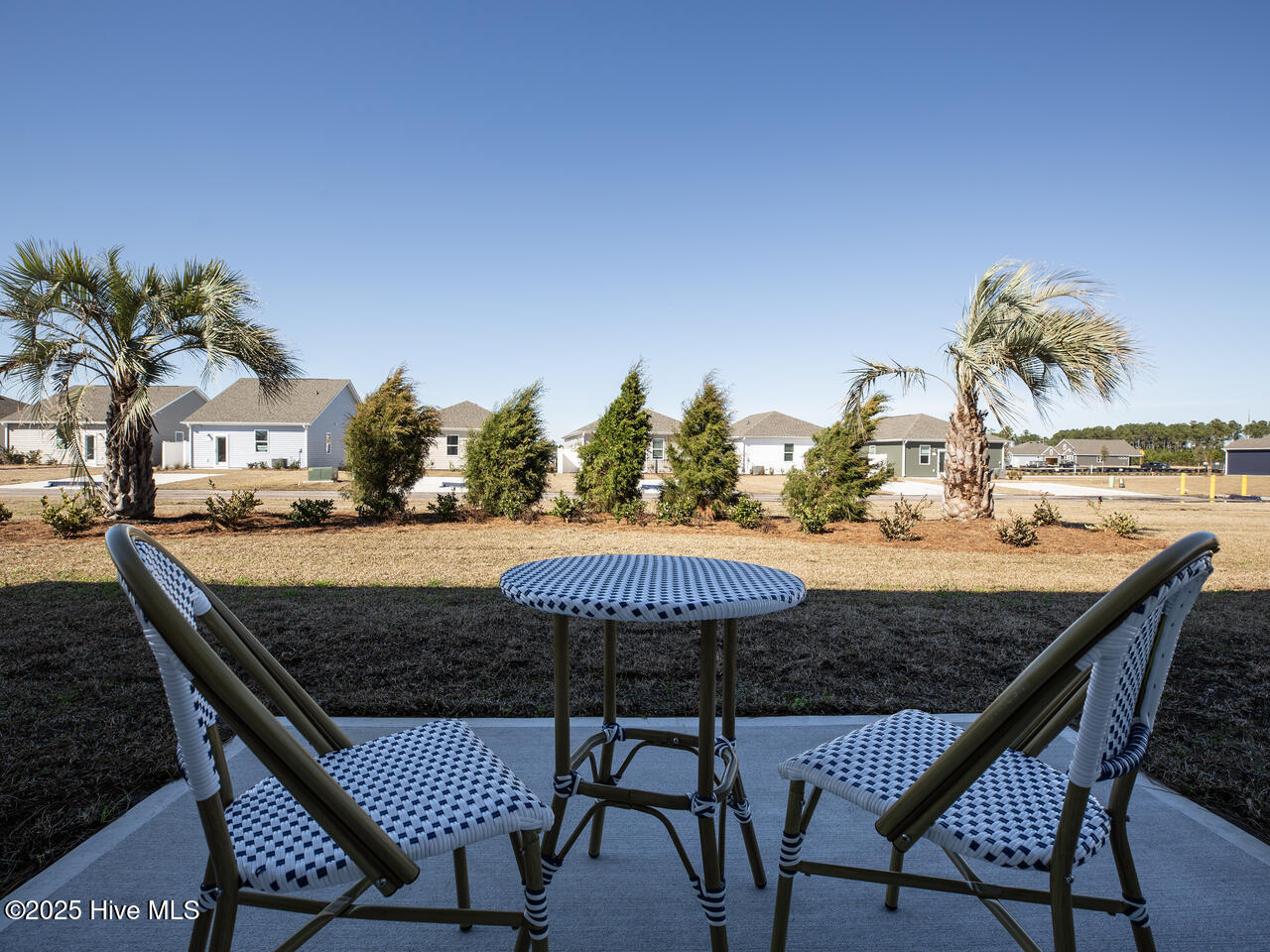 100539719 | Photo 55