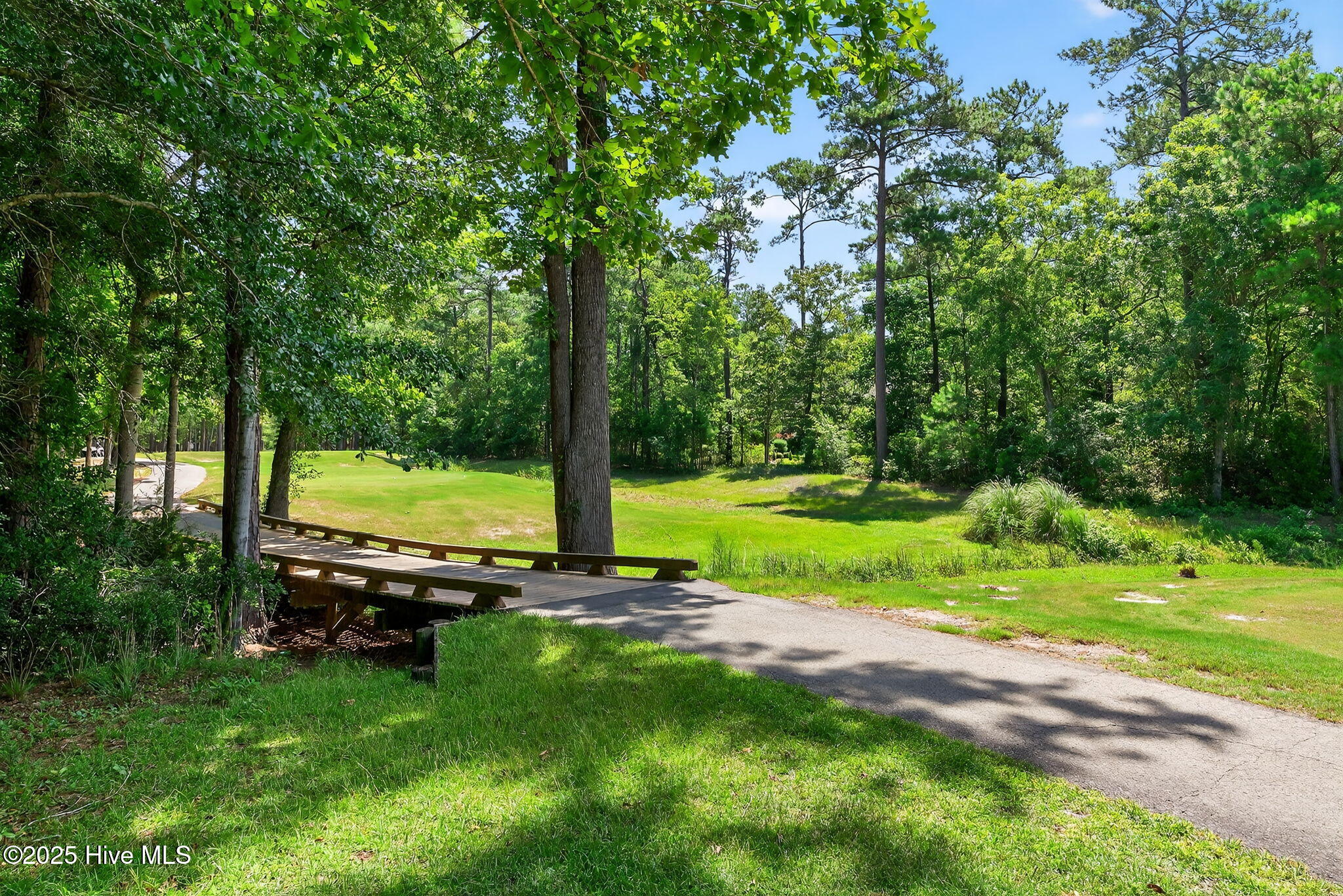 100519533 | Photo 15