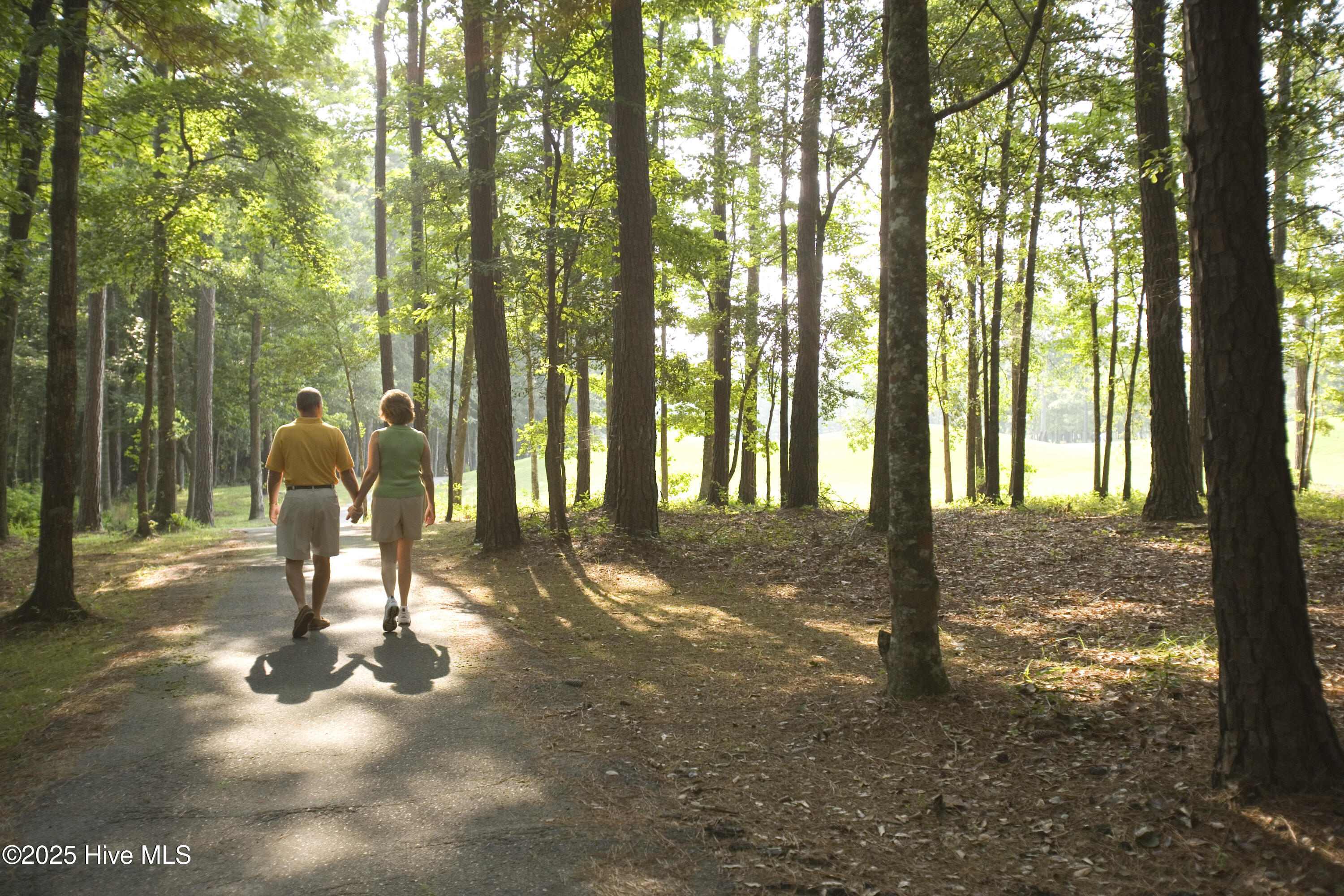 100560997 | Photo 30