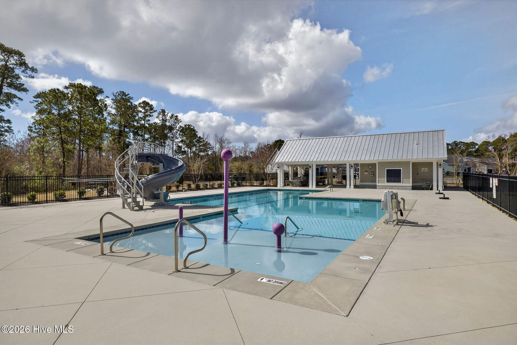 100558378 | Photo 62