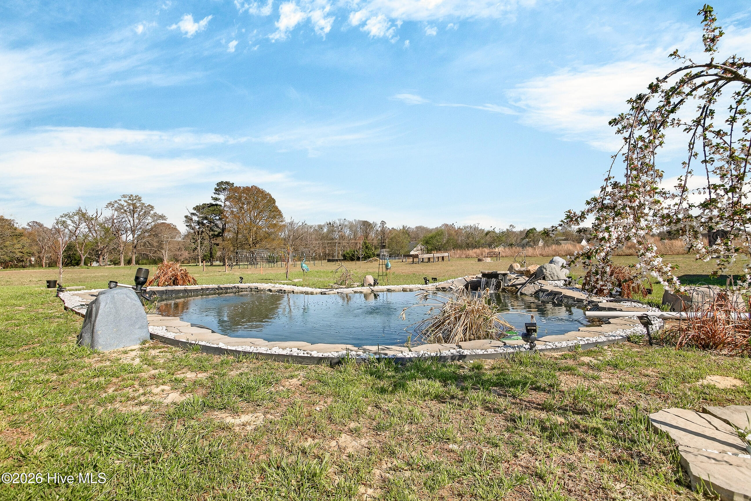 100561338 | Photo 42