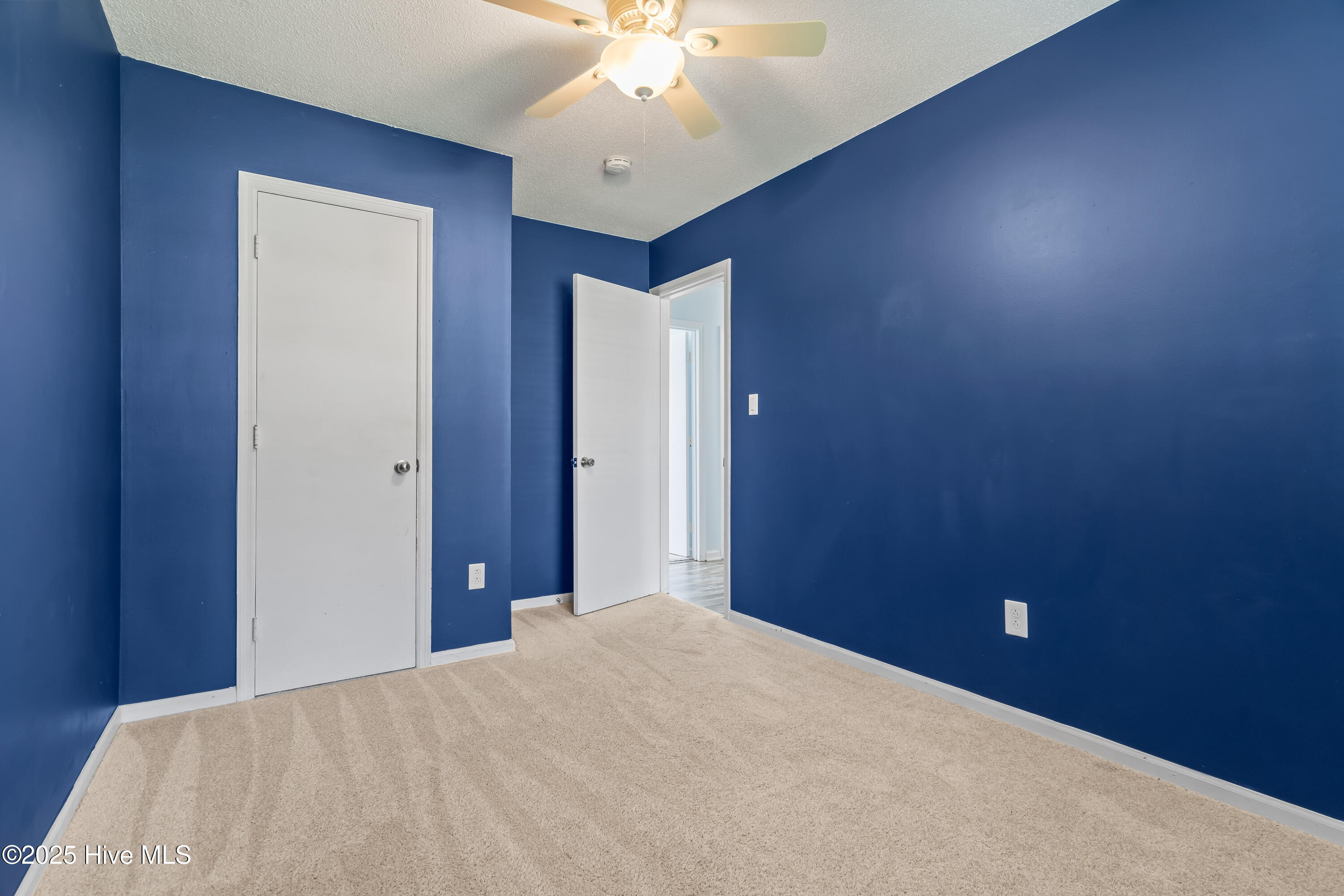 100566648 | Photo 22