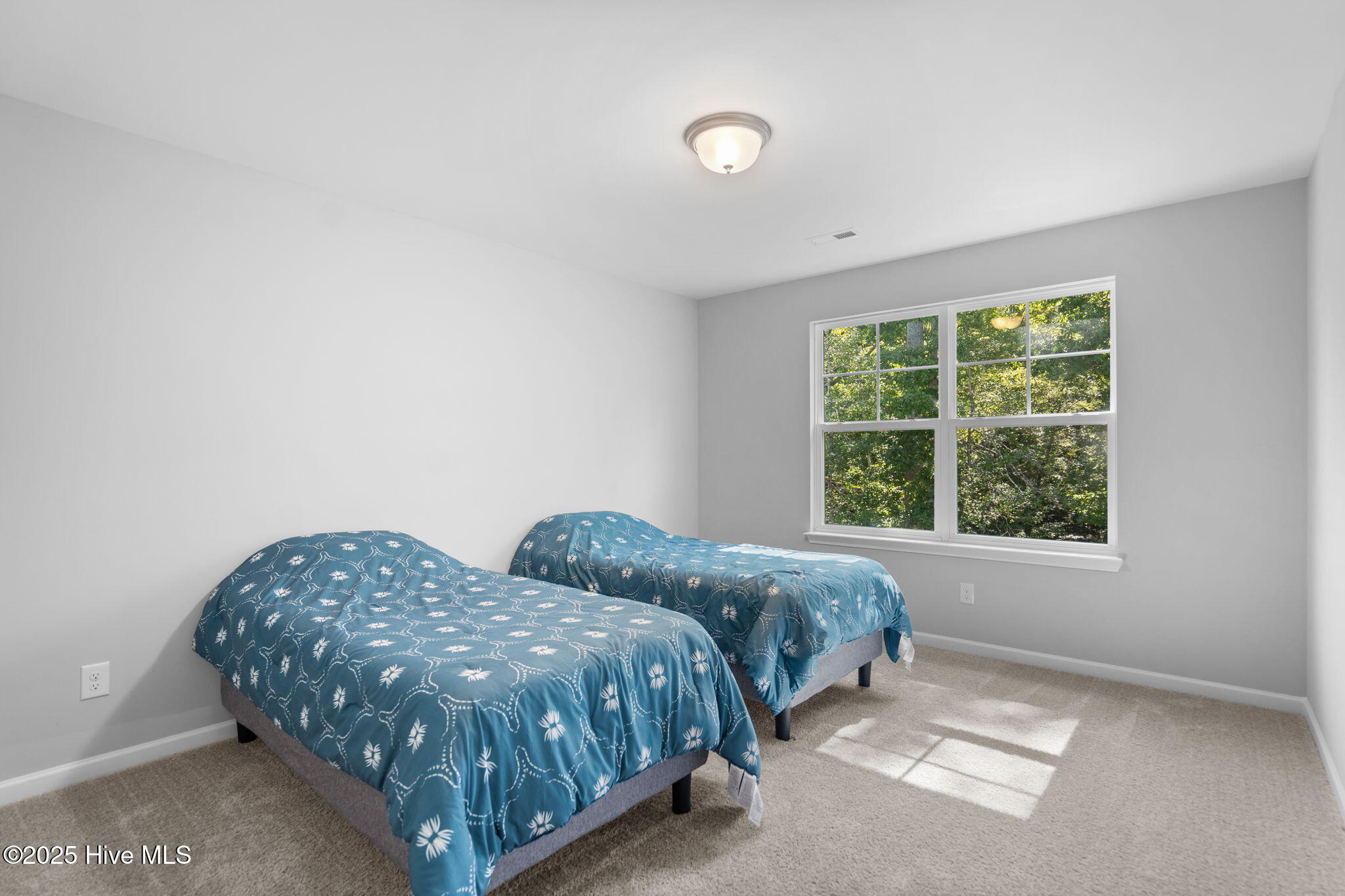 100528737 | Photo 41