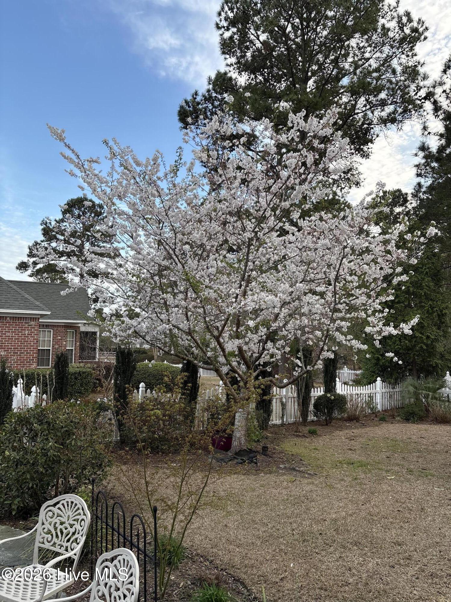 100553841 | Photo 62