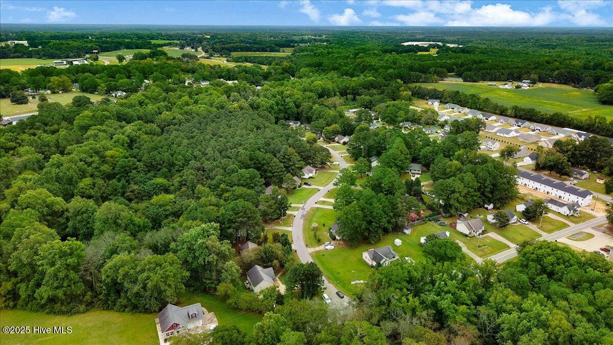 22-S Coral Bells Wy-22