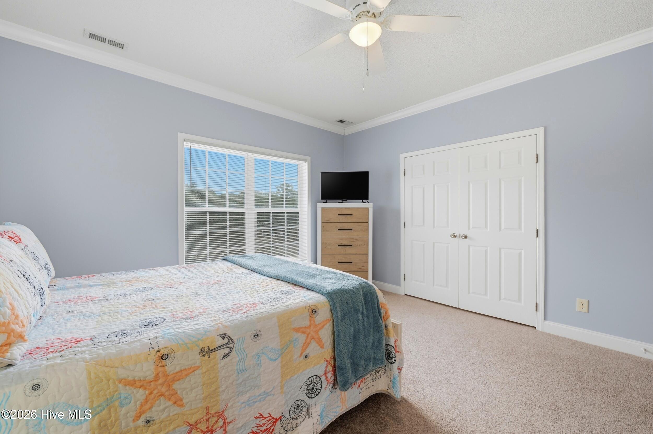 100557500 | Photo 22