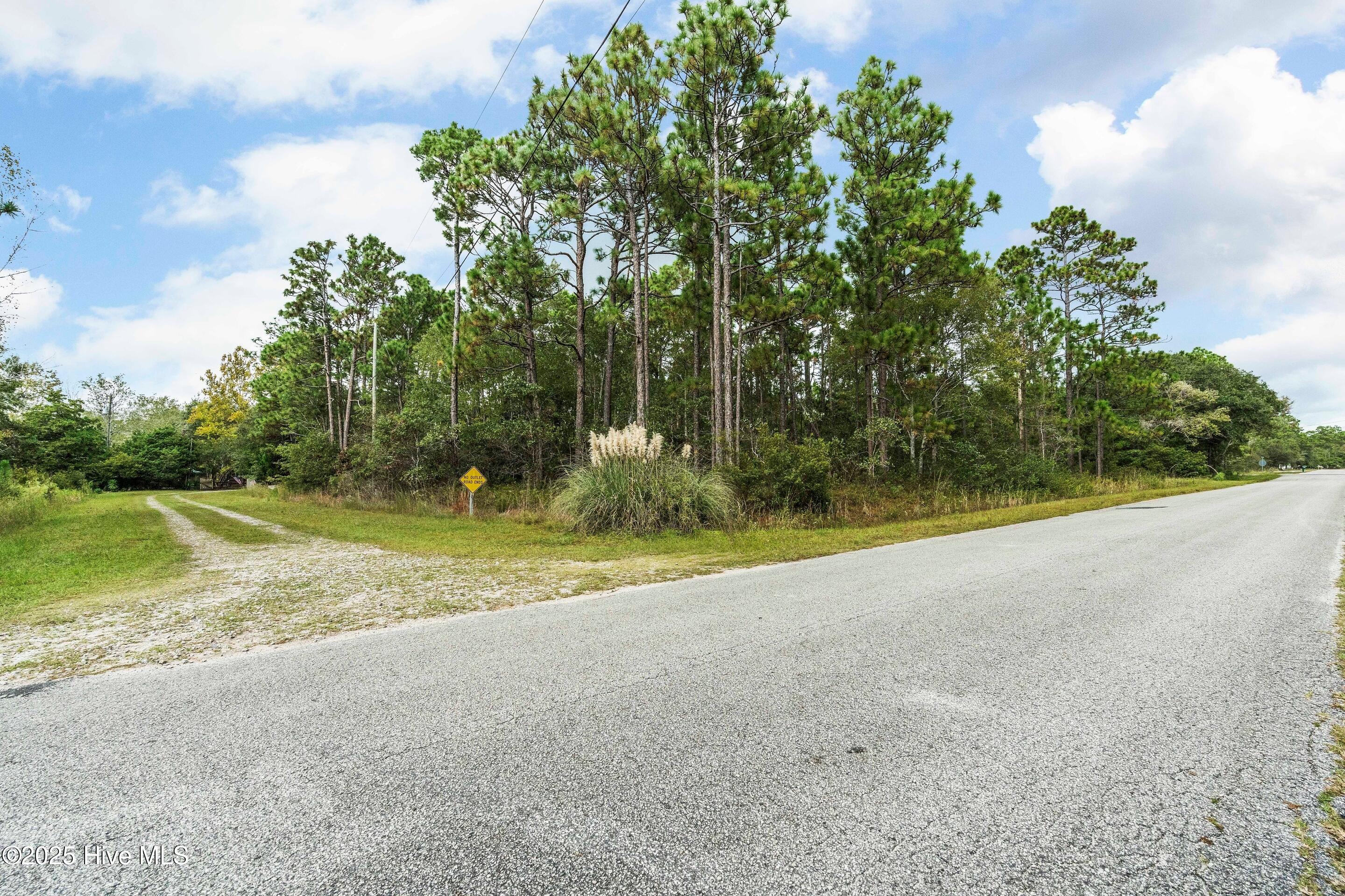 100535667 | Photo 77