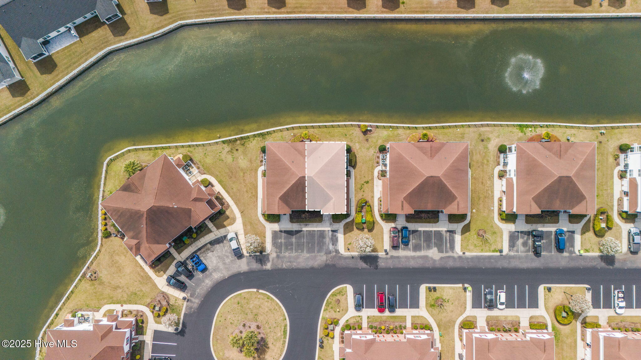 100496126 | Photo 43