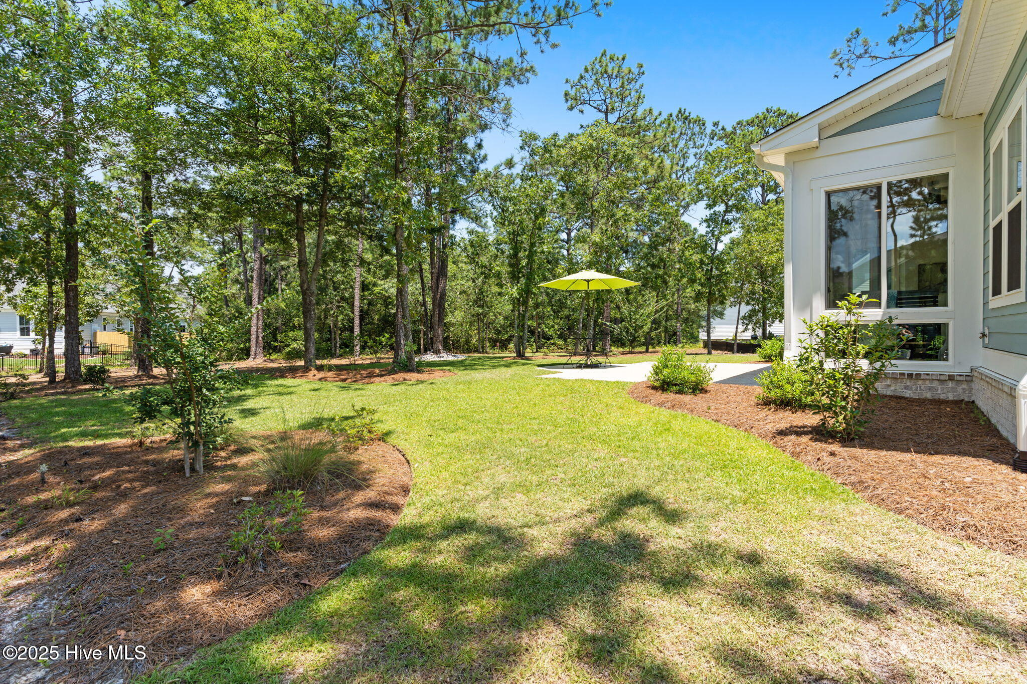 100516887 | Photo 81