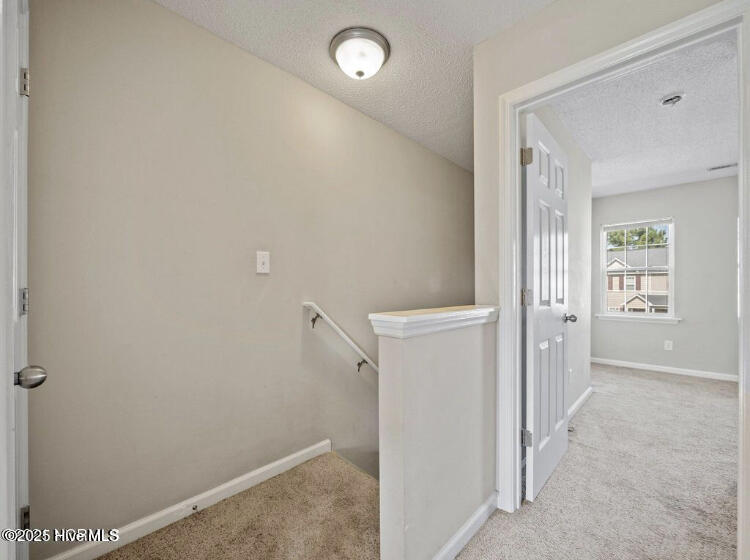 100546630 | Photo 14