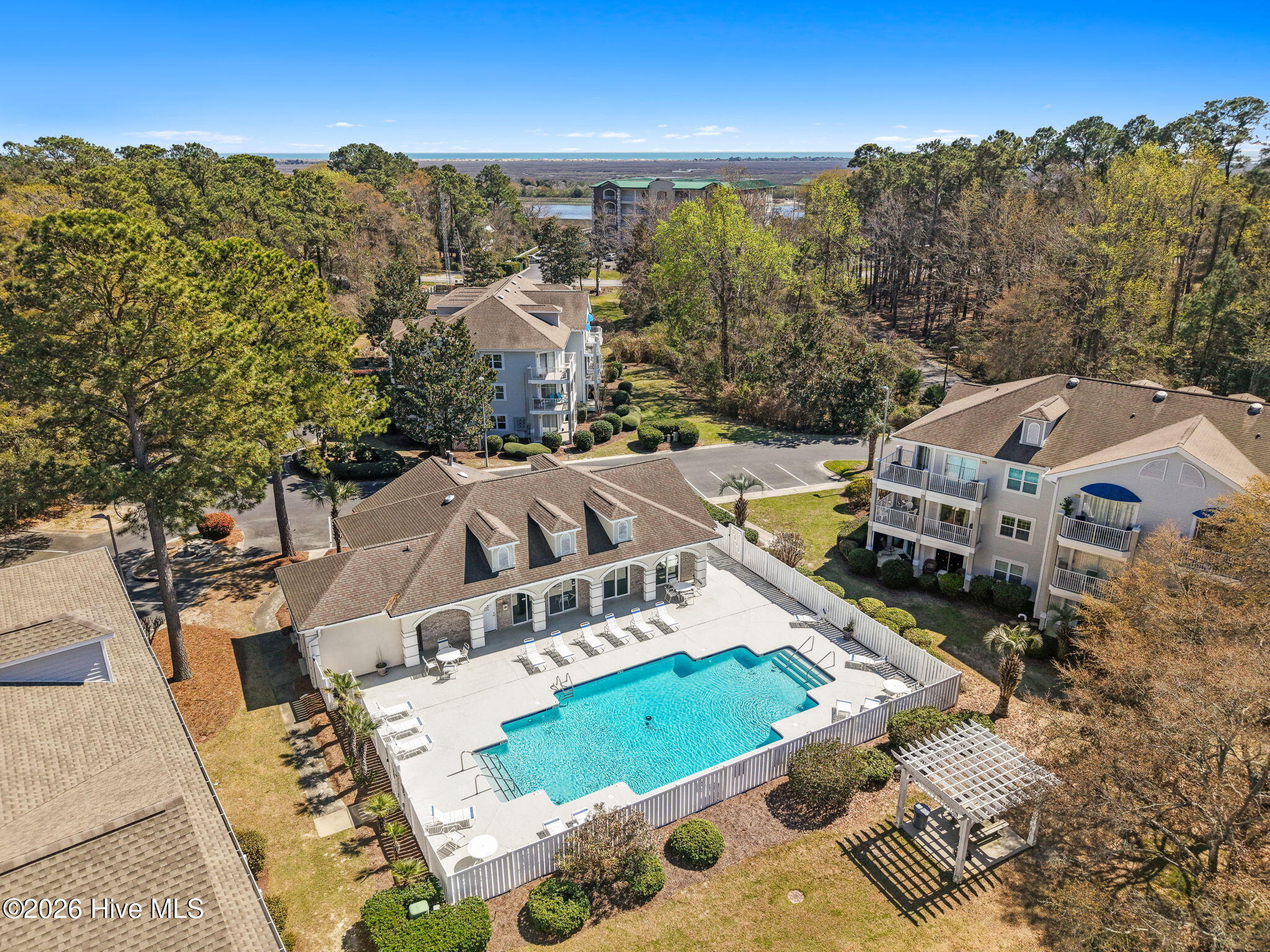 100562565 | Photo 34