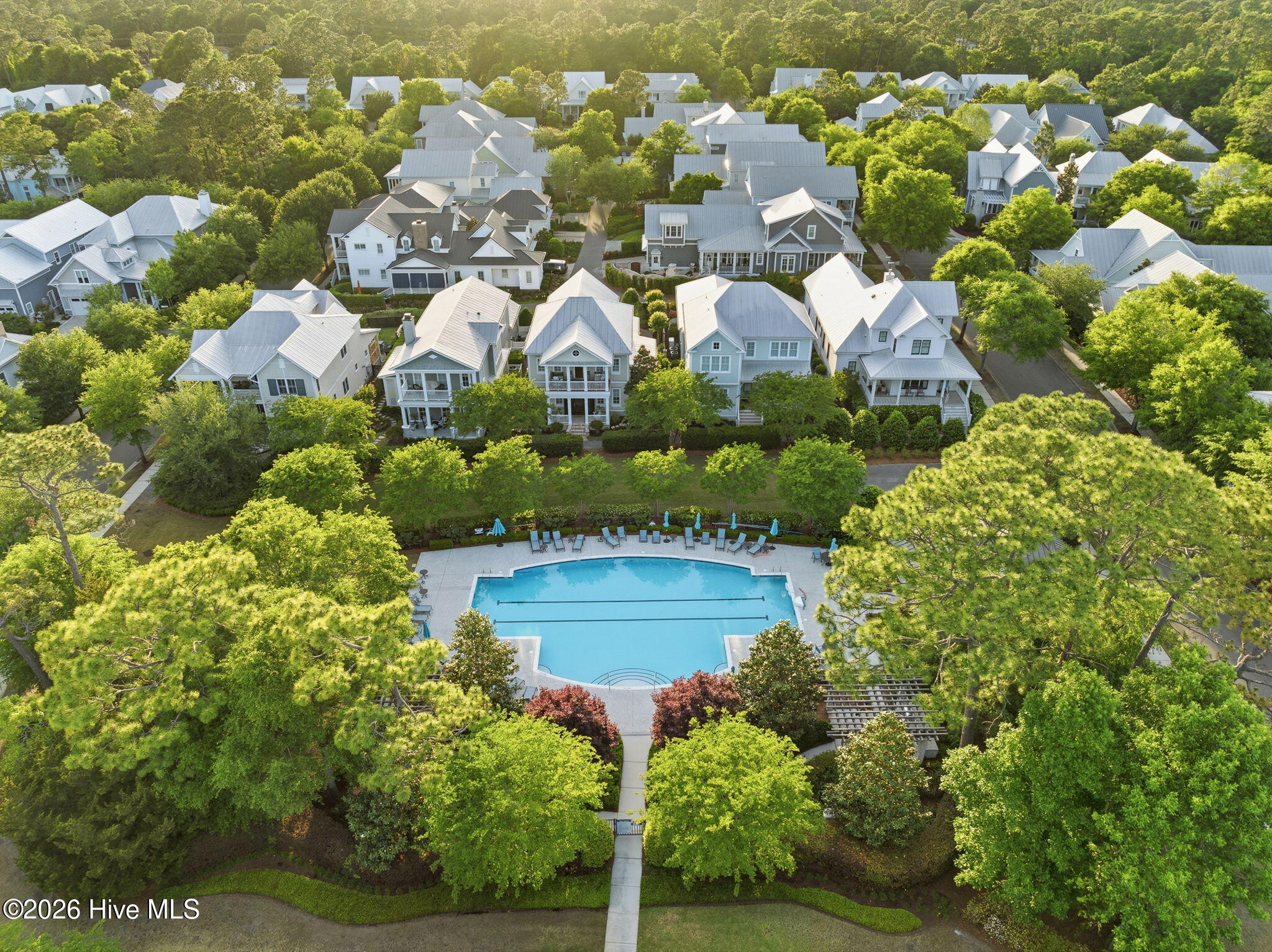 100570583 | Photo 81