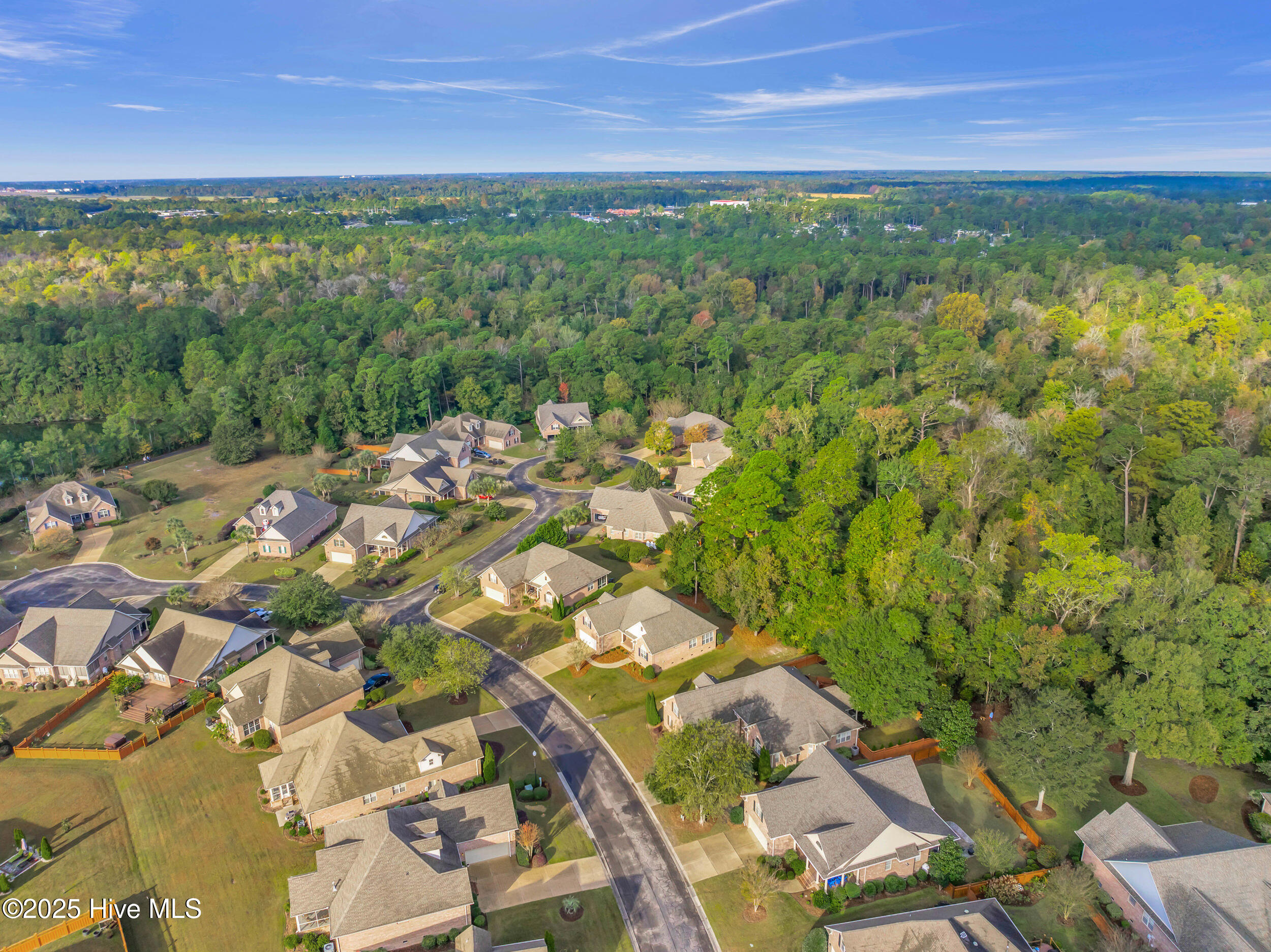 100539518 | Photo 50