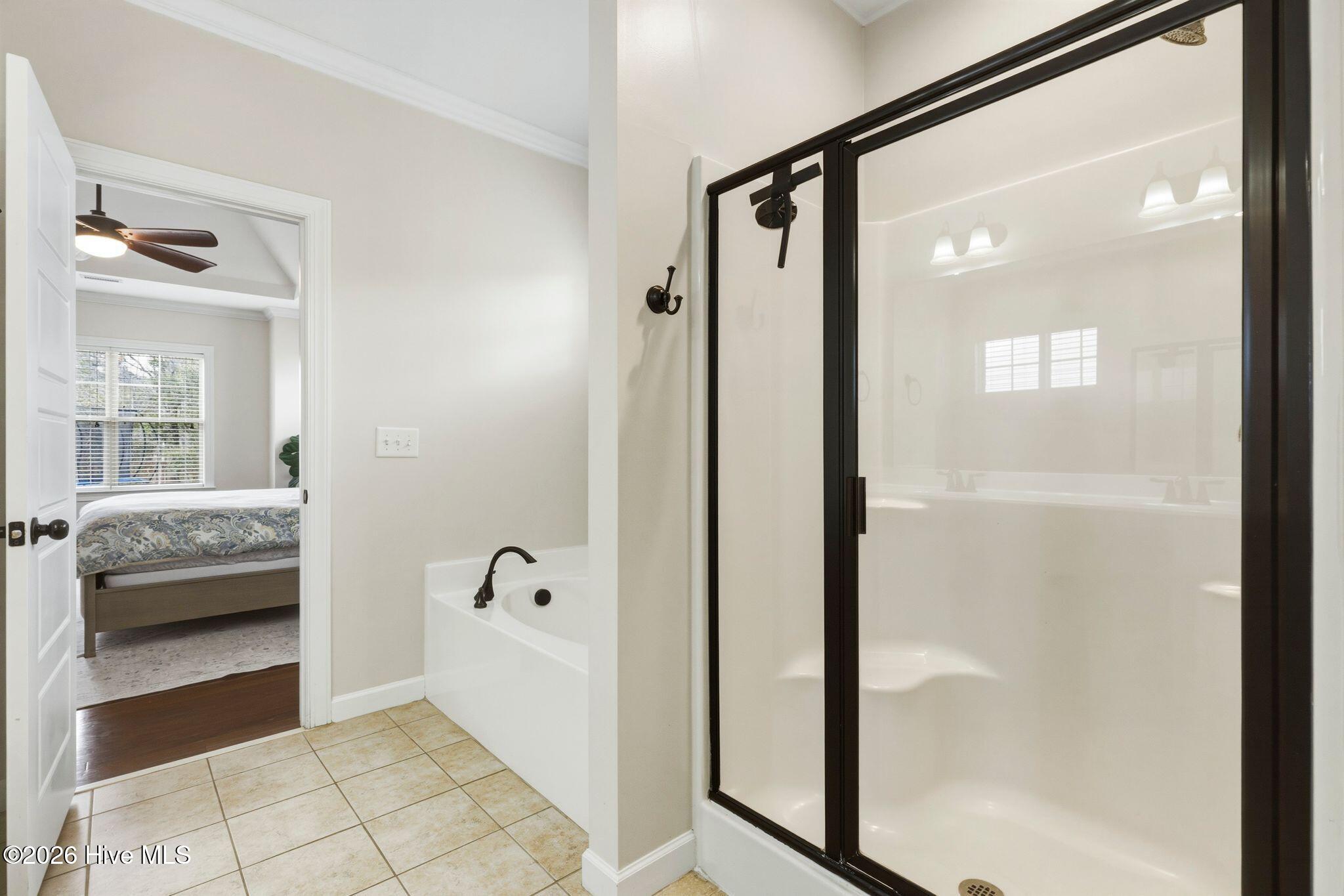 100562110 | Photo 31