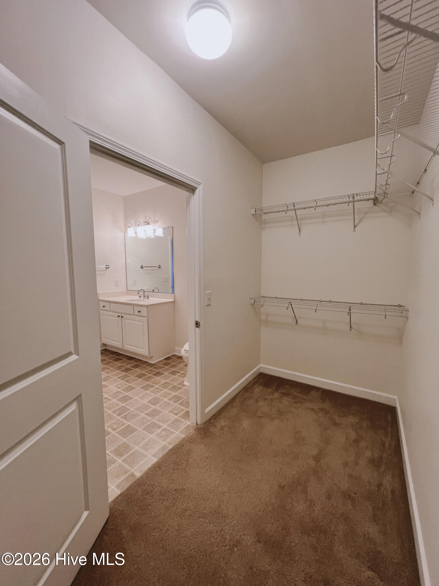 100550783 | Photo 15