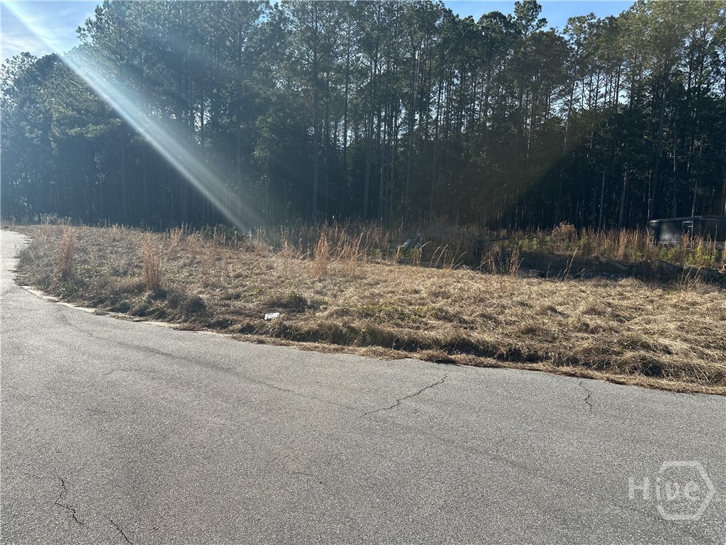 Homes for sale in Guyton, GA | 135 And 139 Greenbriar Dr, Guyton, GA 31312 | MLS# SA346291