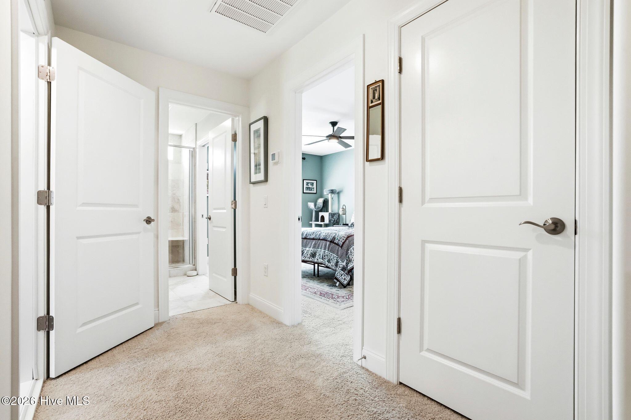 100569004 | Photo 46