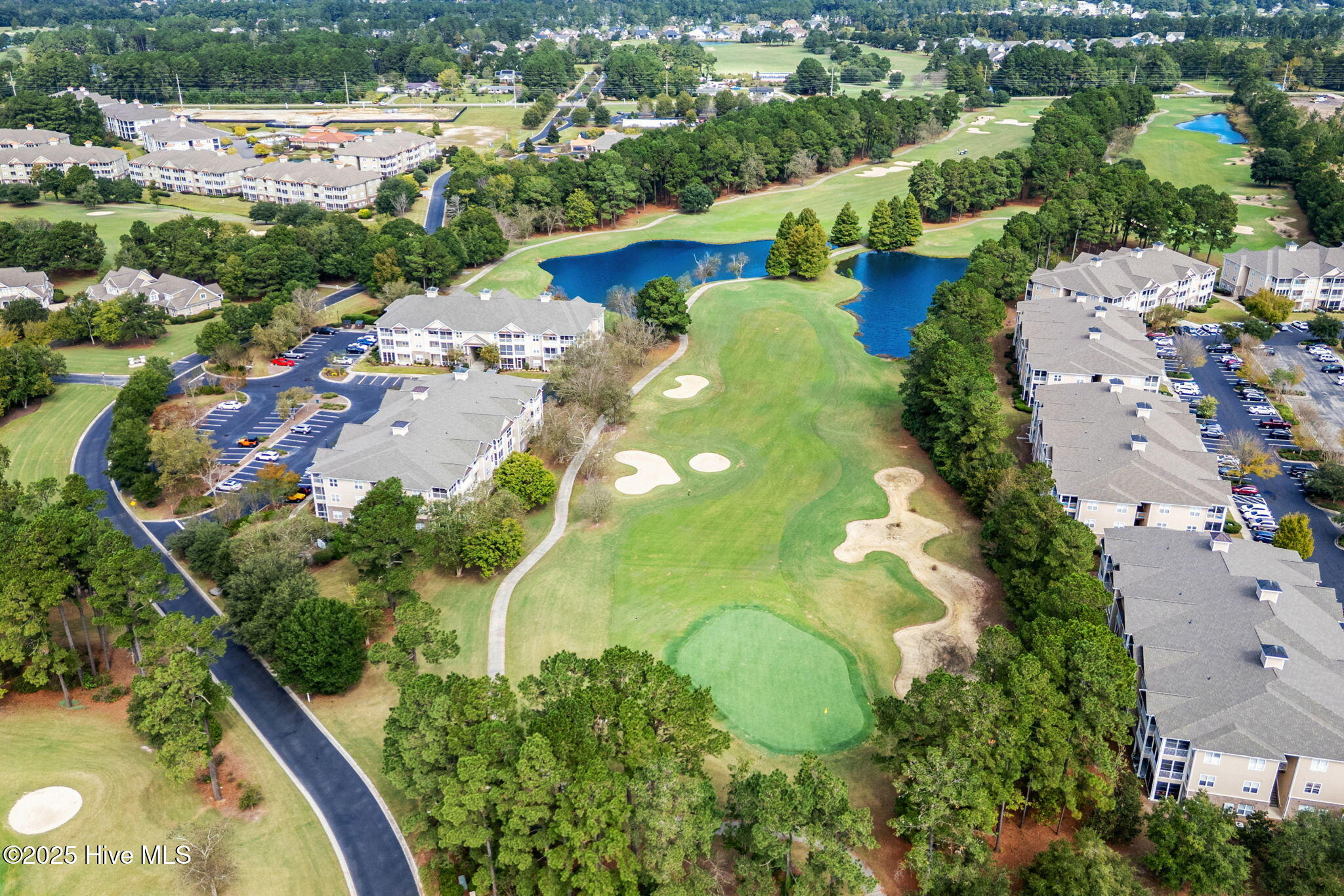 100535498 | Photo 69