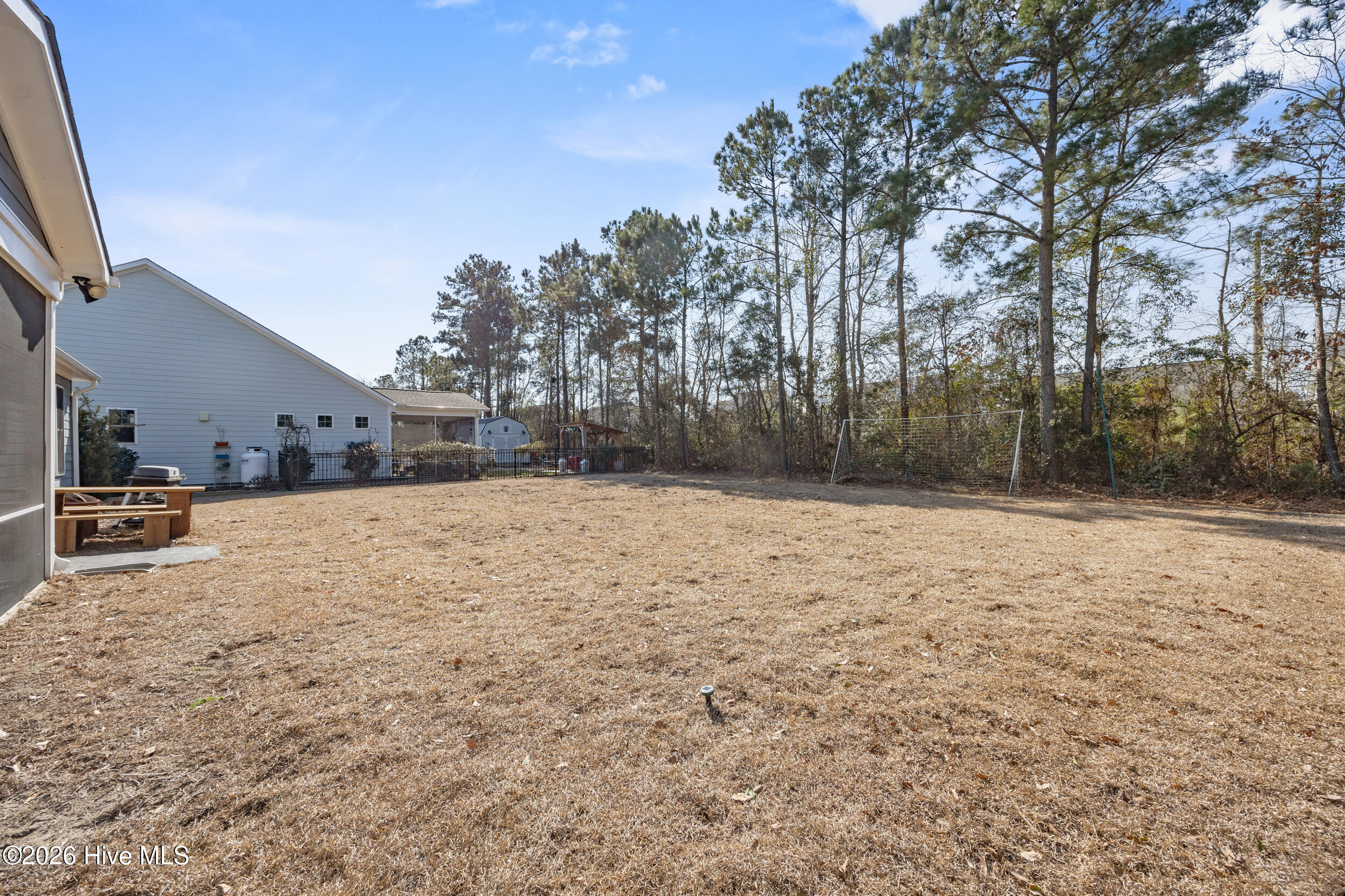 100554095 | Photo 47