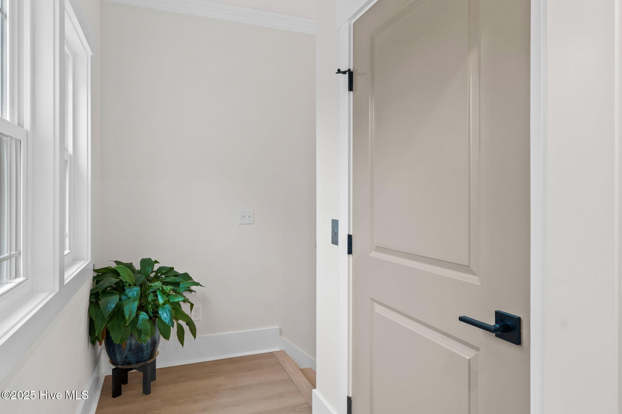 100539028 | Photo 47