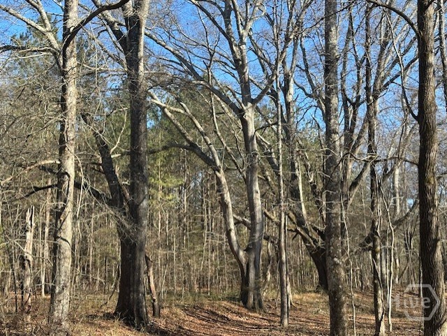 Homes for sale in Good Hope, GA | 2644 Nunnally Shoals Tract 2 Rd, Good Hope, GA 30641 | MLS# CL347749