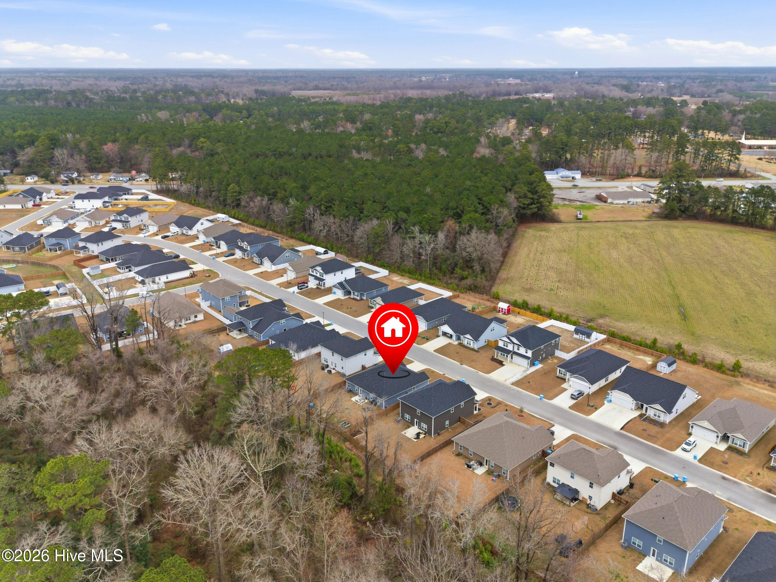 100557848 | Photo 41