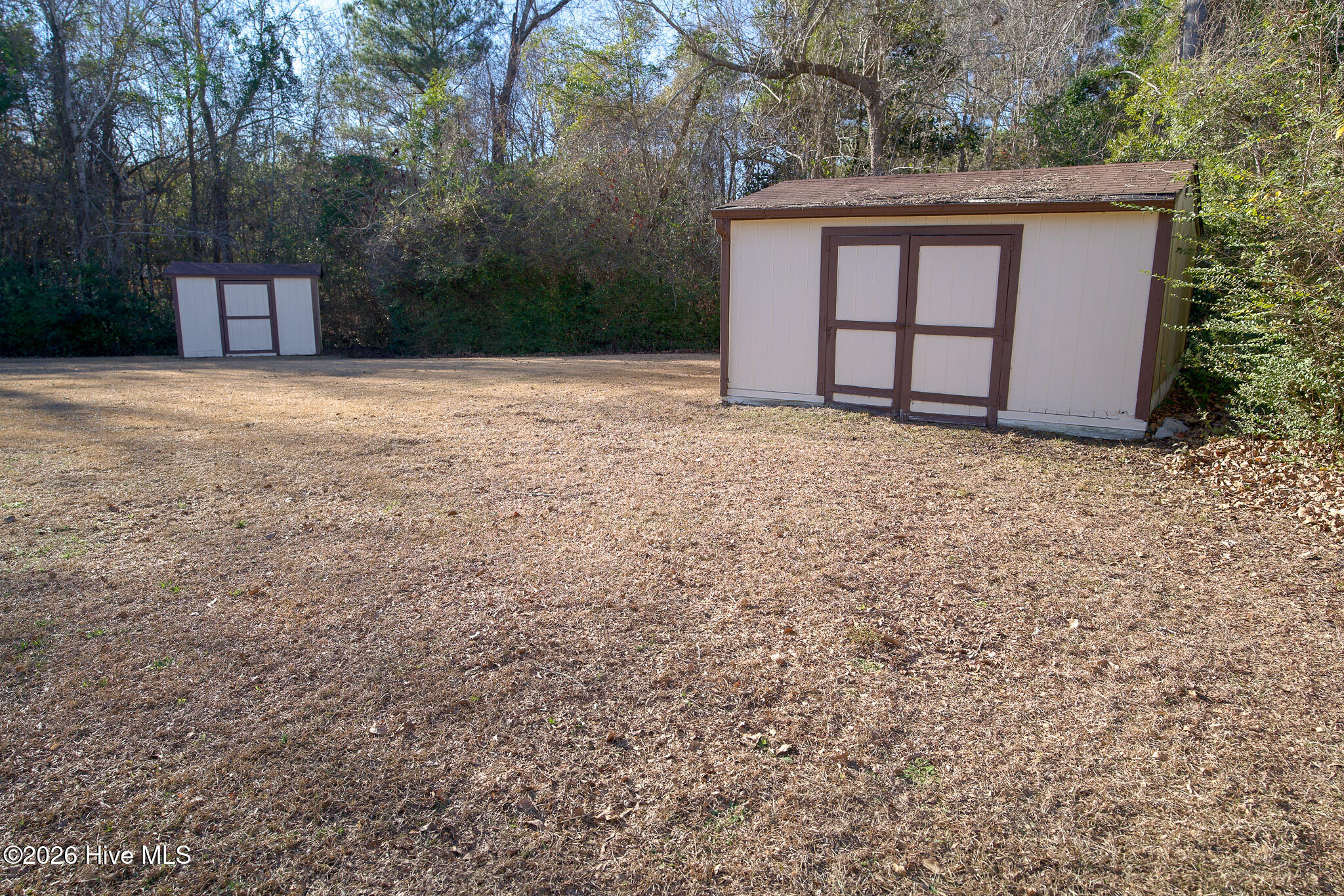 100551193 | Photo 13