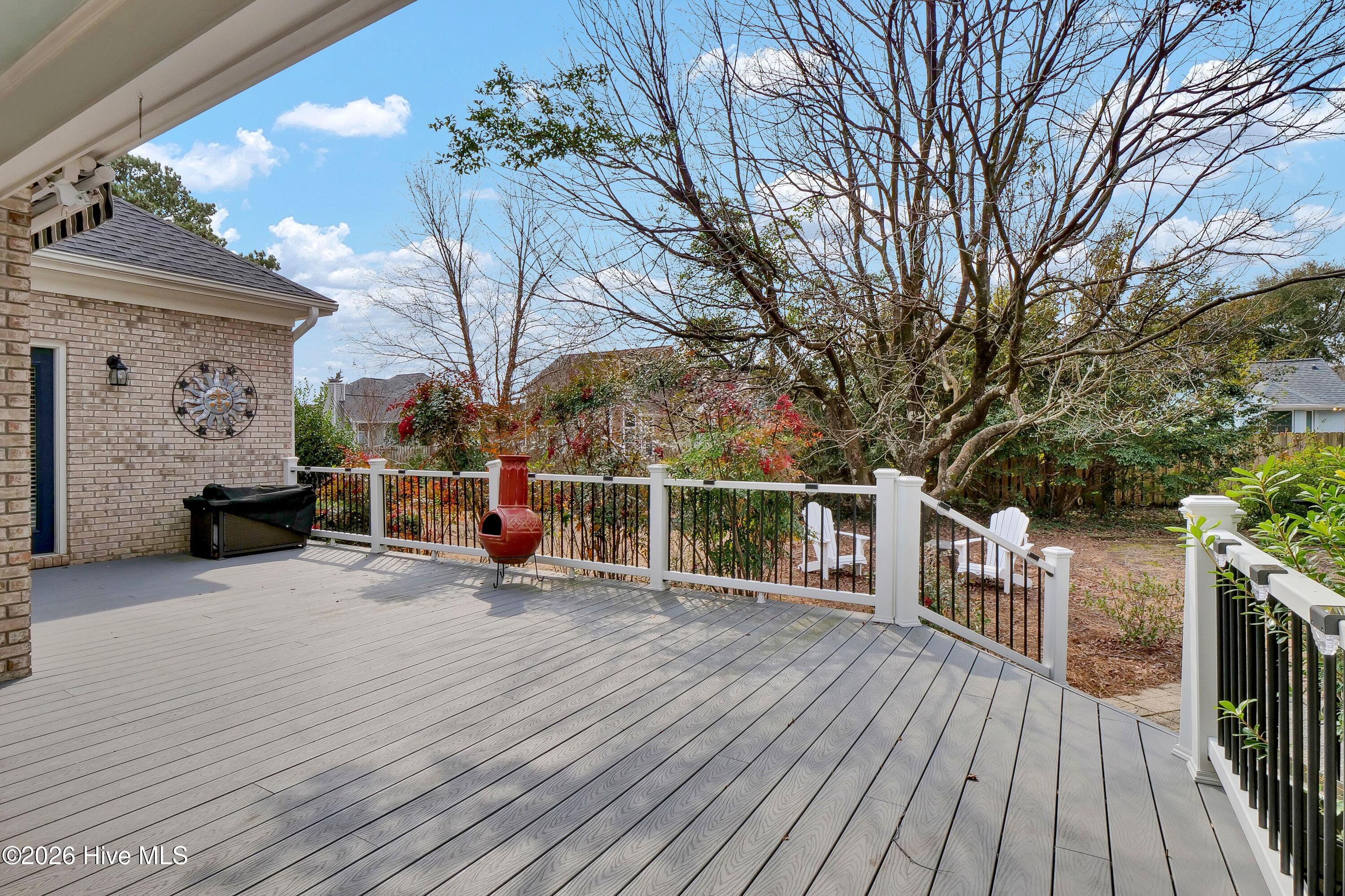 100556431 | Photo 31