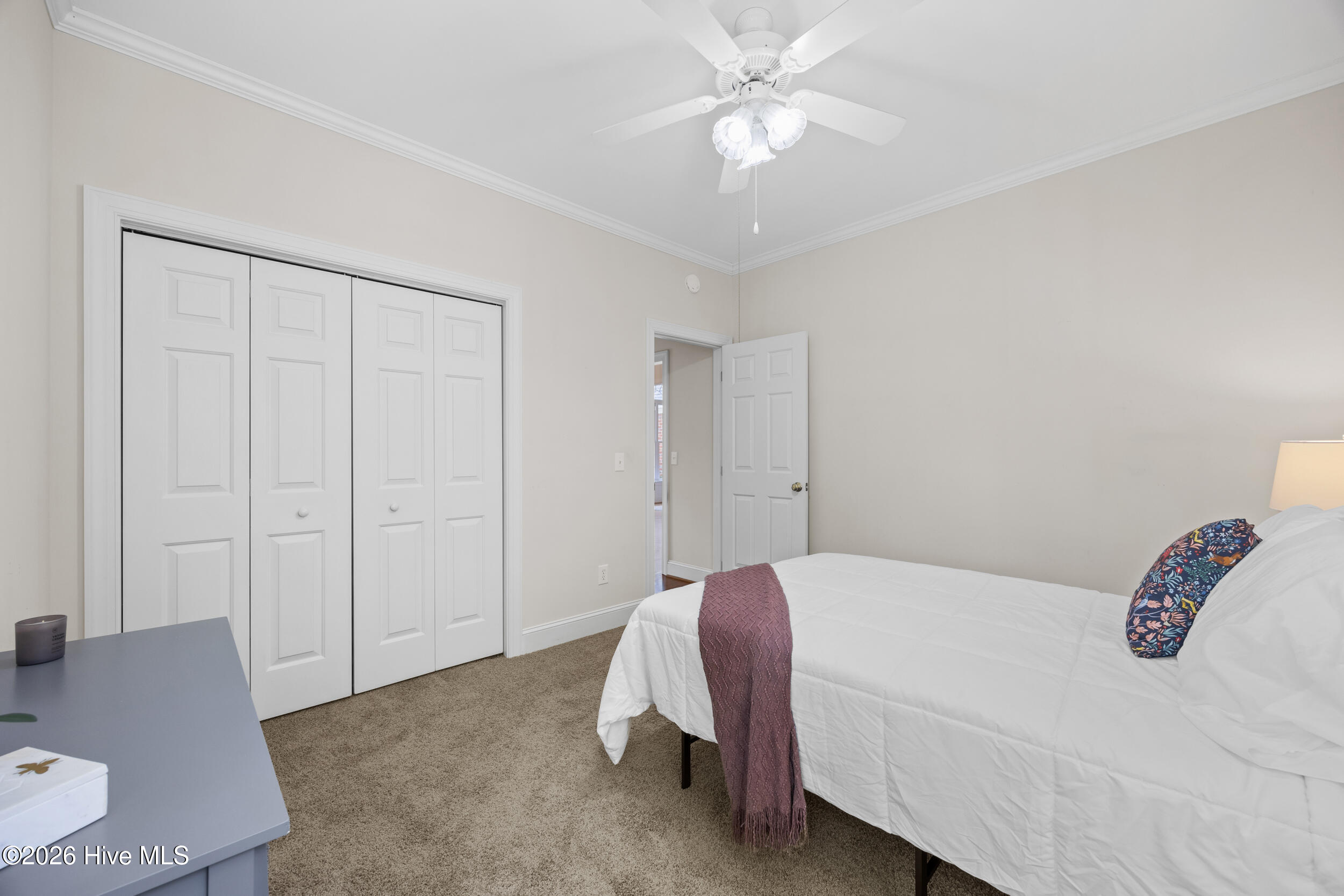 100564143 | Photo 22