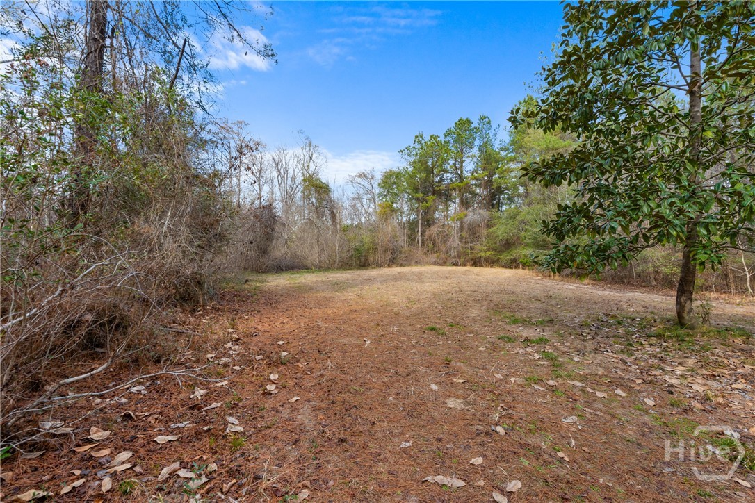 1000 Old River Road S, Brooklet, GA, 30415