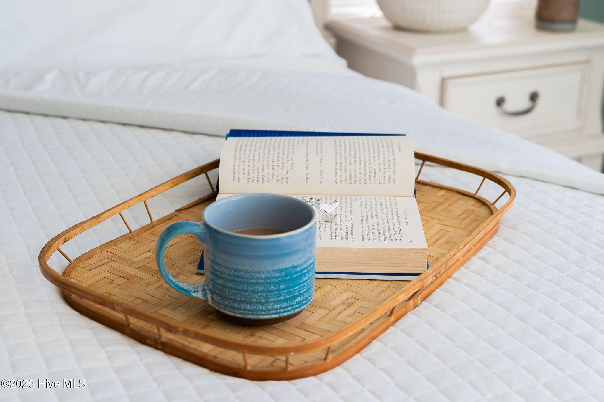 100561667 | Photo 88