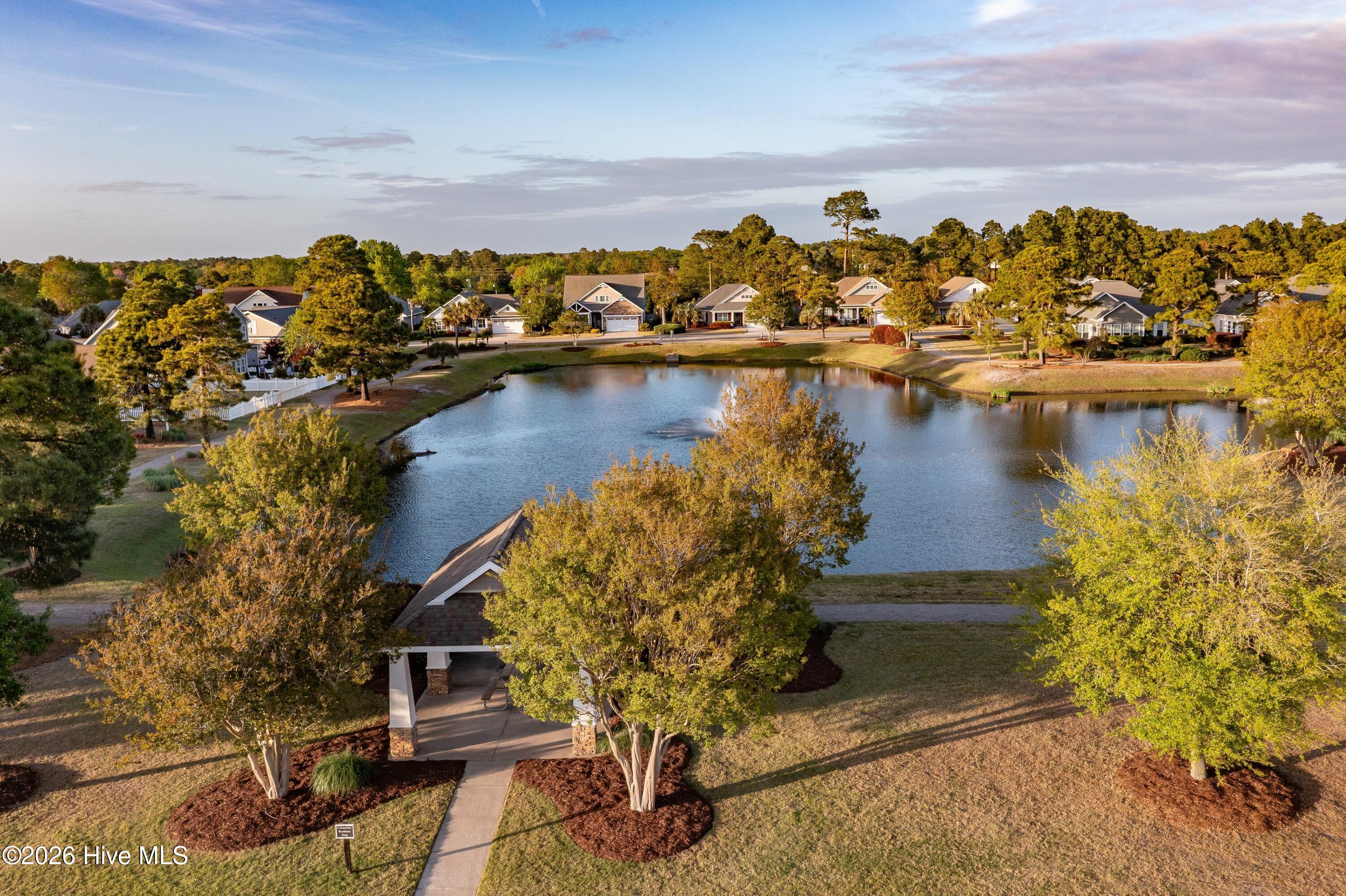 100566210 | Photo 35