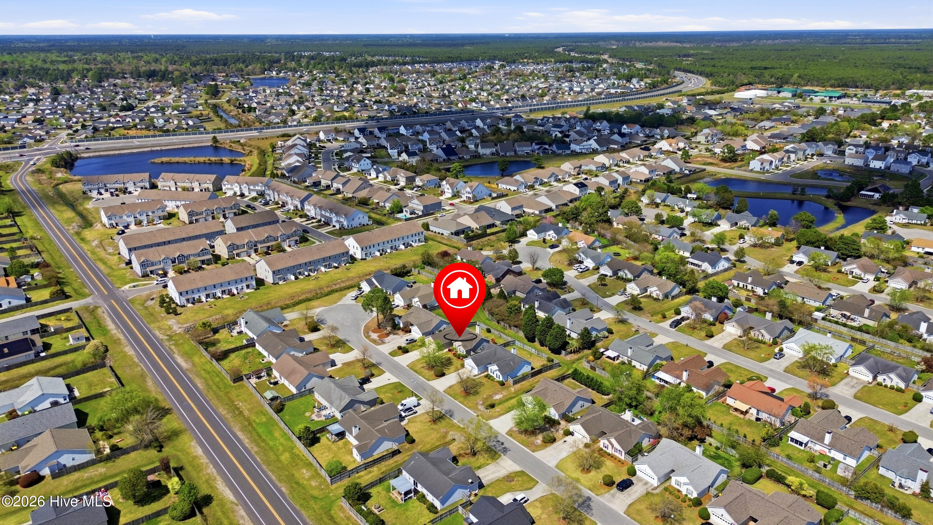 100564031 | Photo 39