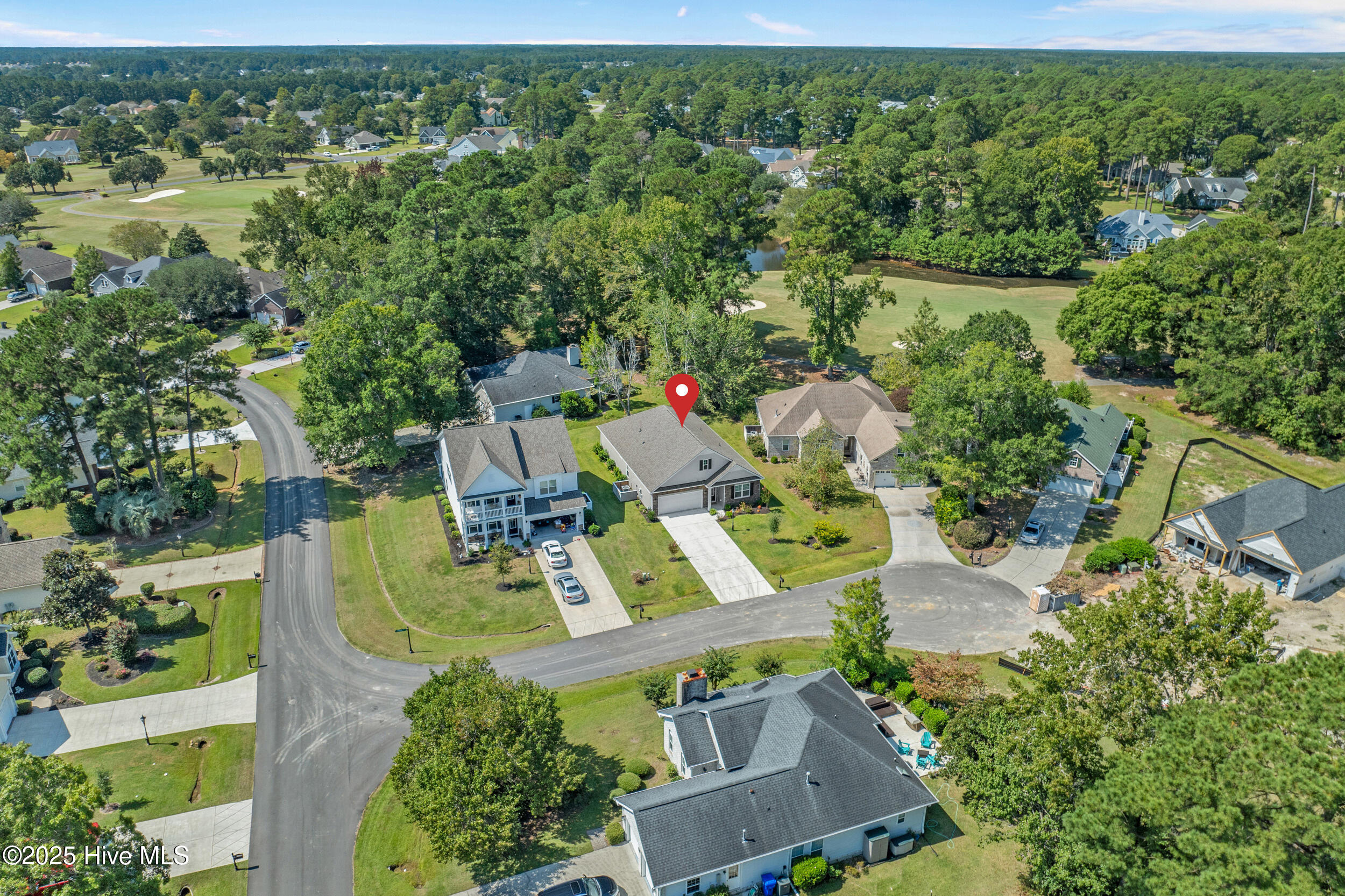 100531761 | Photo 36