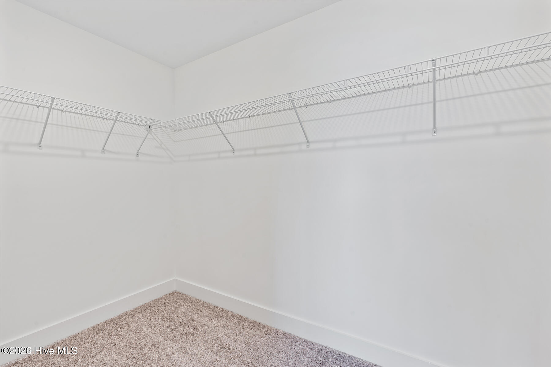 100564176 | Photo 17