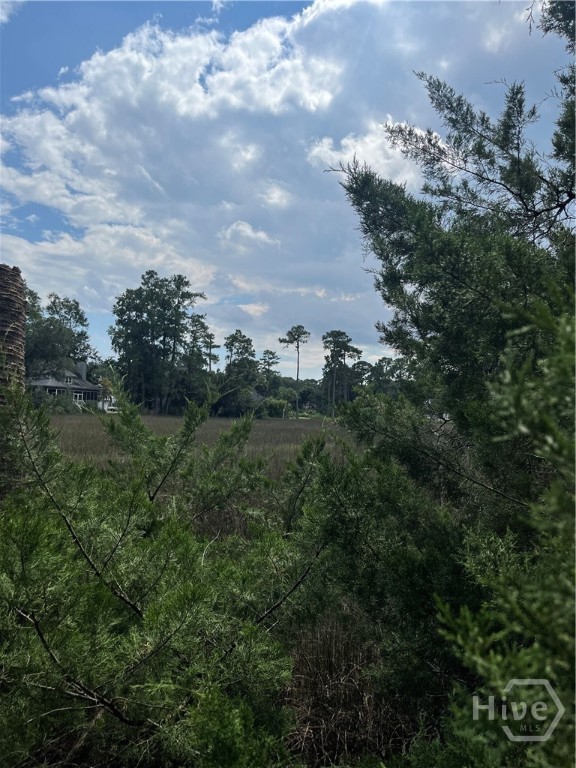 0 Perry, Savannah, Georgia, 0 ,Land,For sale,Perry,SA352079 0 Perry, Savannah, Georgia, 0 ,Land,For sale,Perry,SA352079