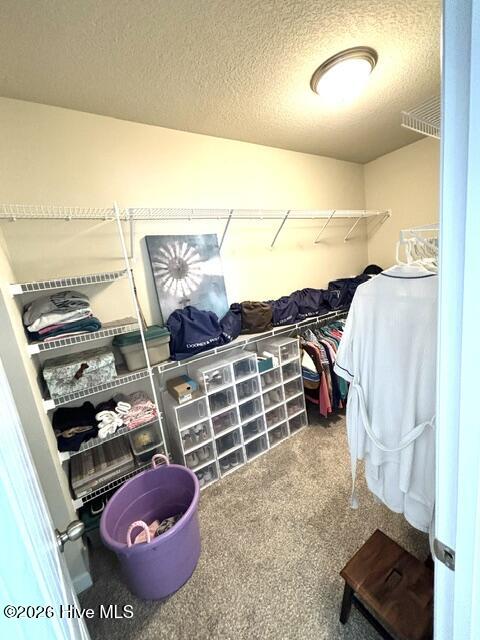 100560675 | Photo 18