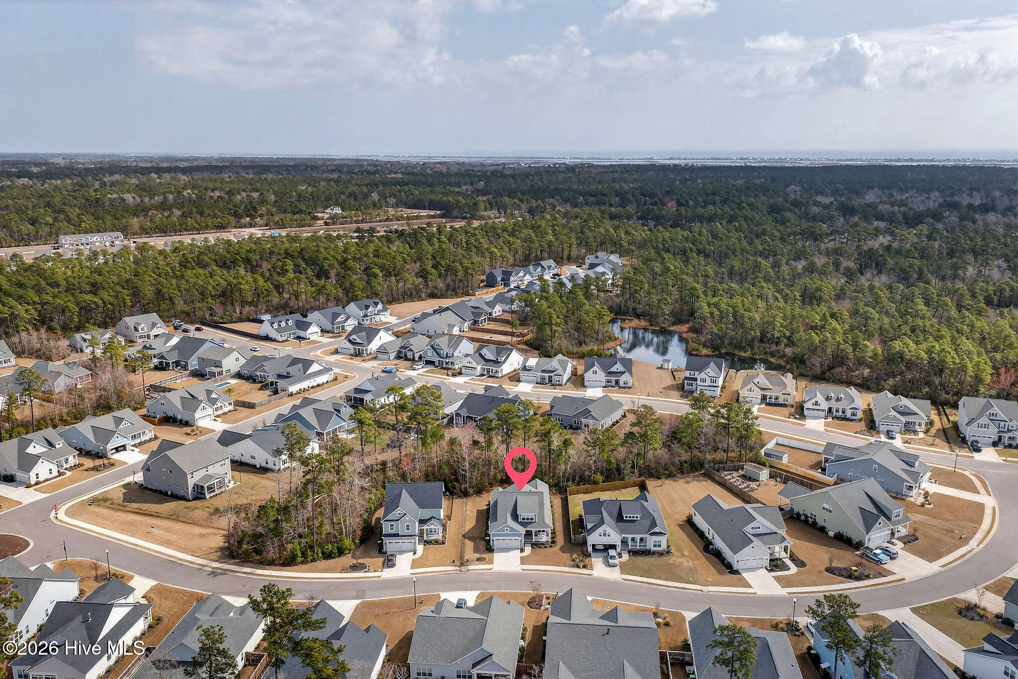 100558378 | Photo 54