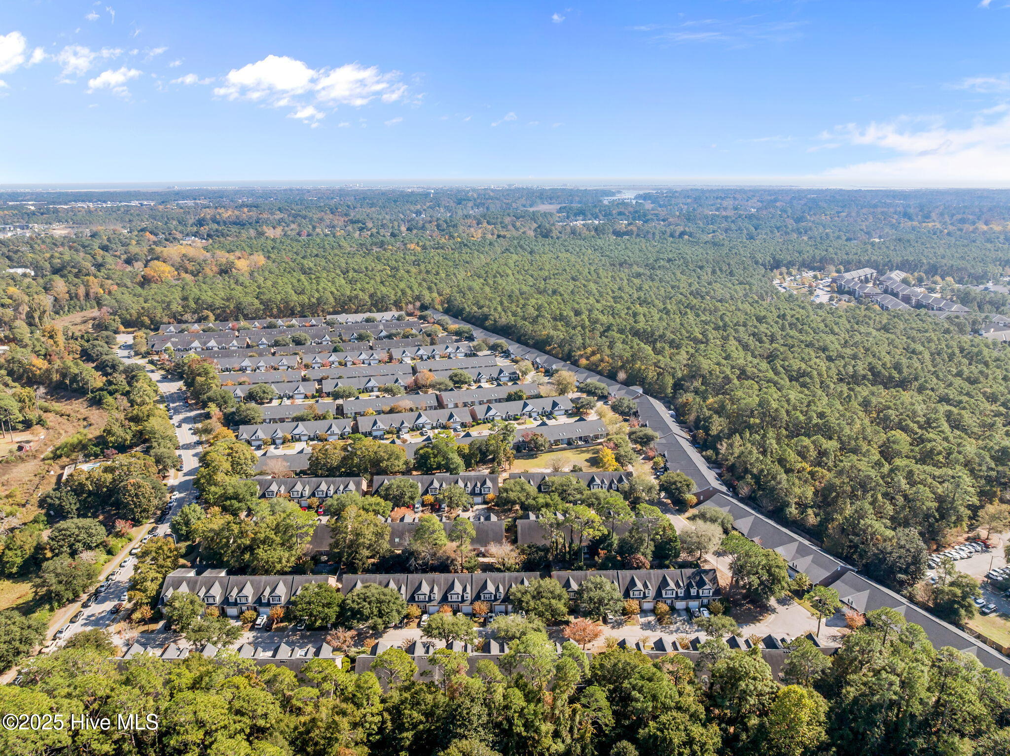 100540244 | Photo 55