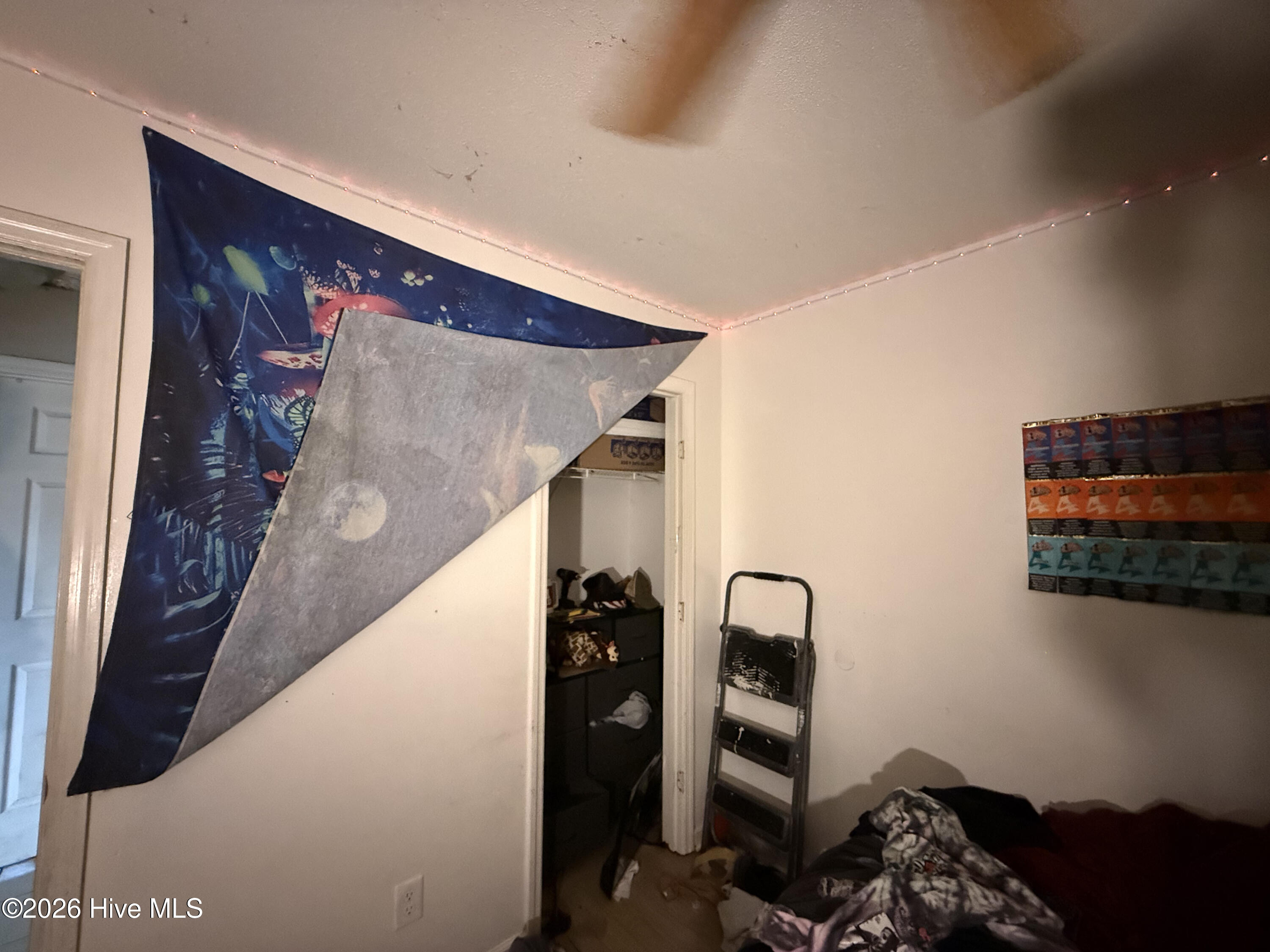 100562239 | Photo 42