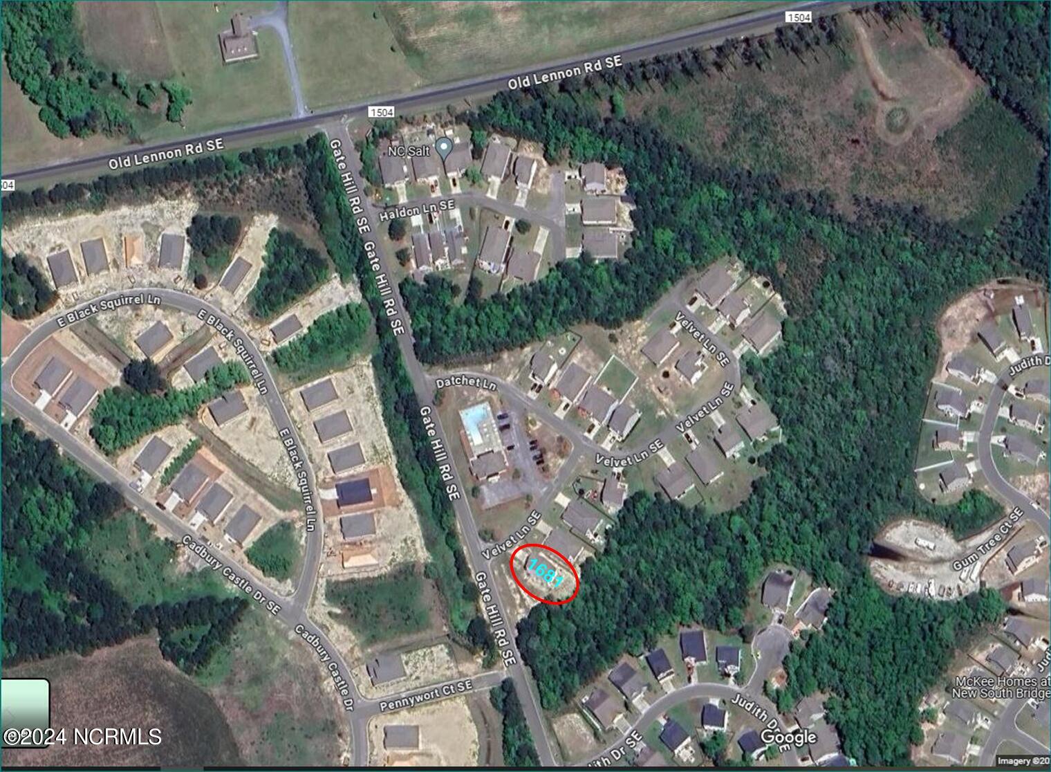 100528717 | Photo 25