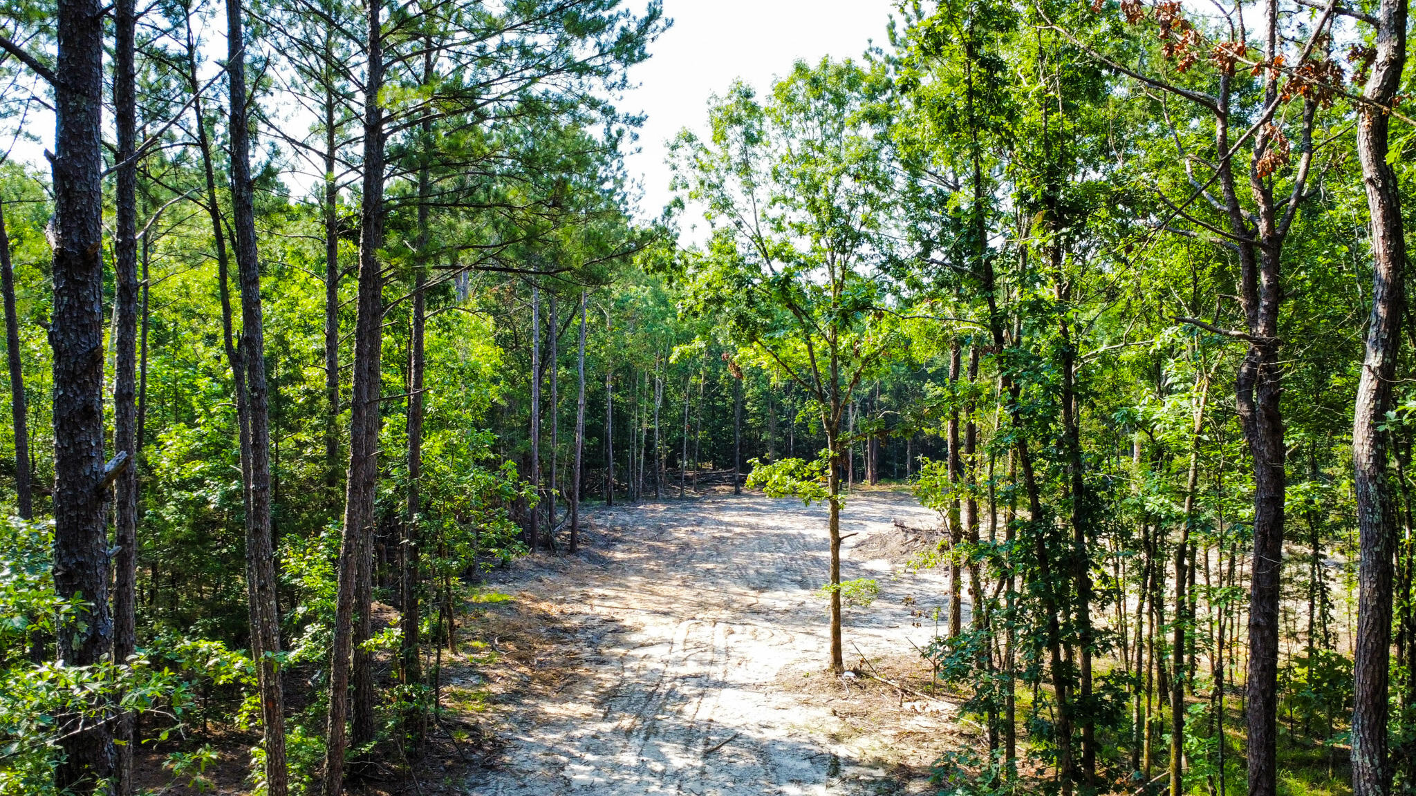 0 Backway Road, Lincolnton, GA, 30817