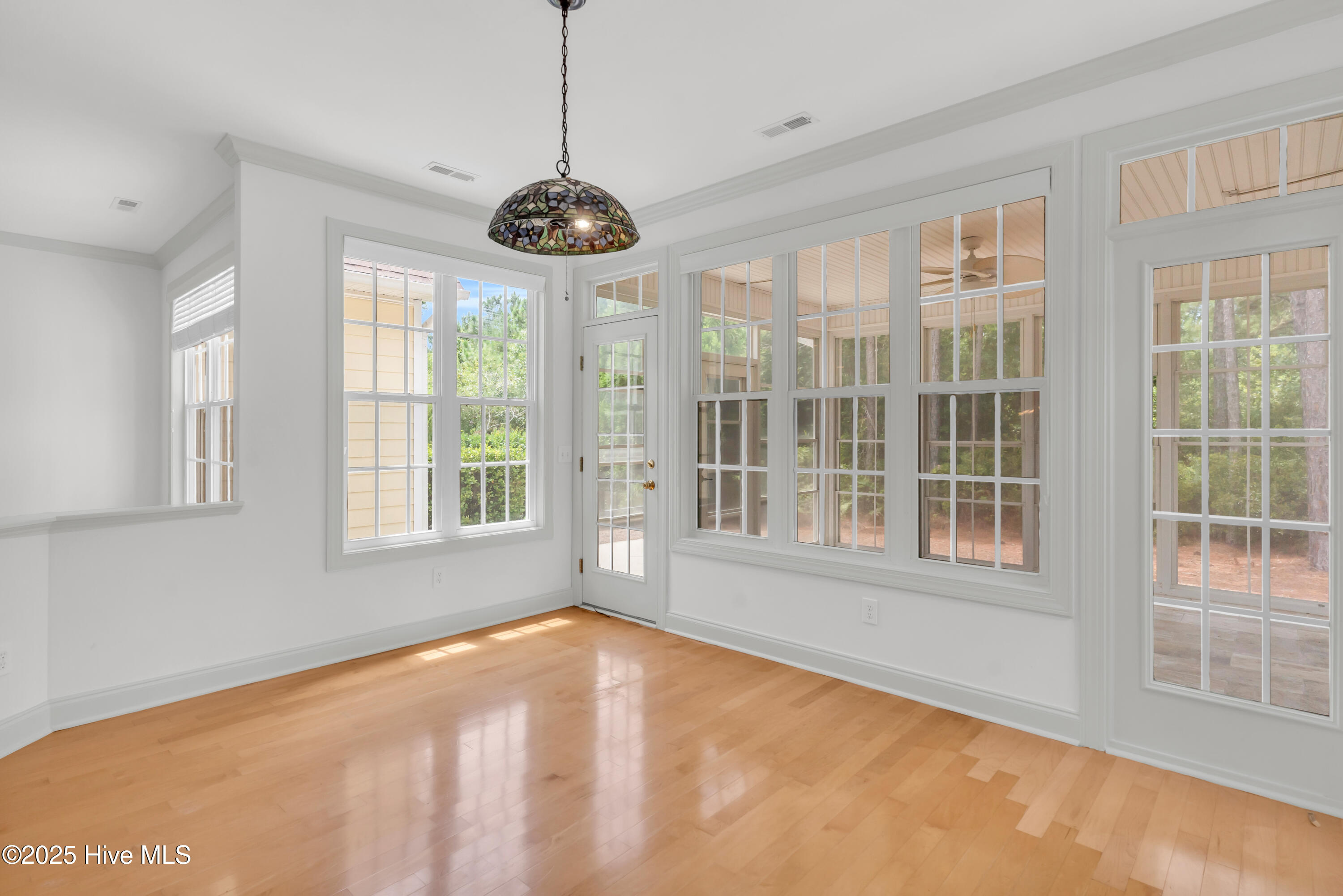 100523896 | Photo 18