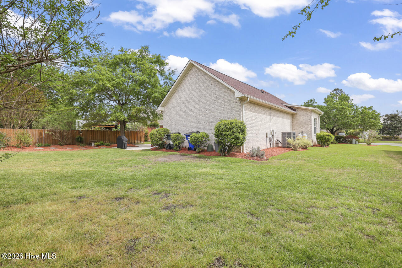 100554989 | Photo 41